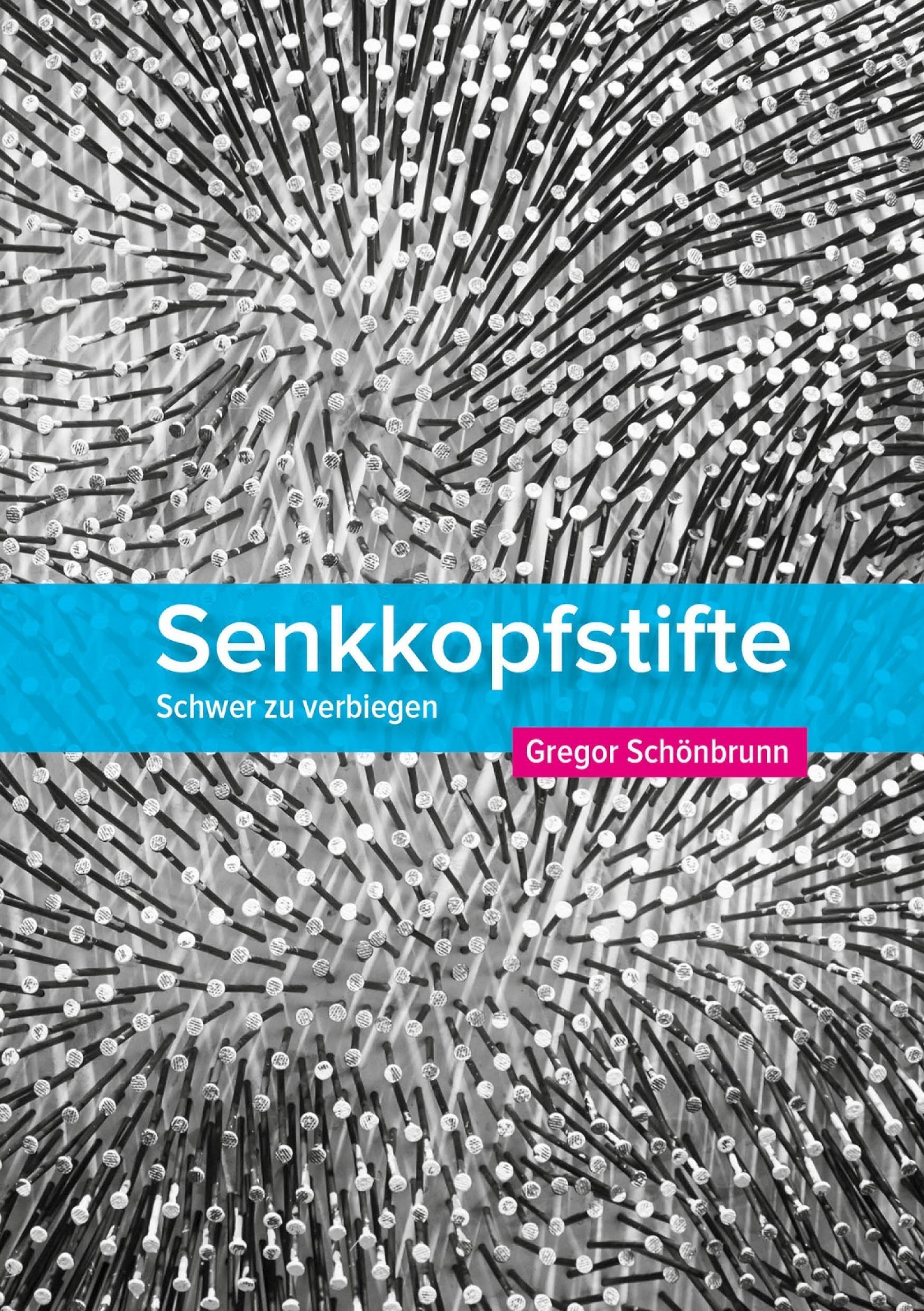 Обложка книги «Senkkopfstifte»