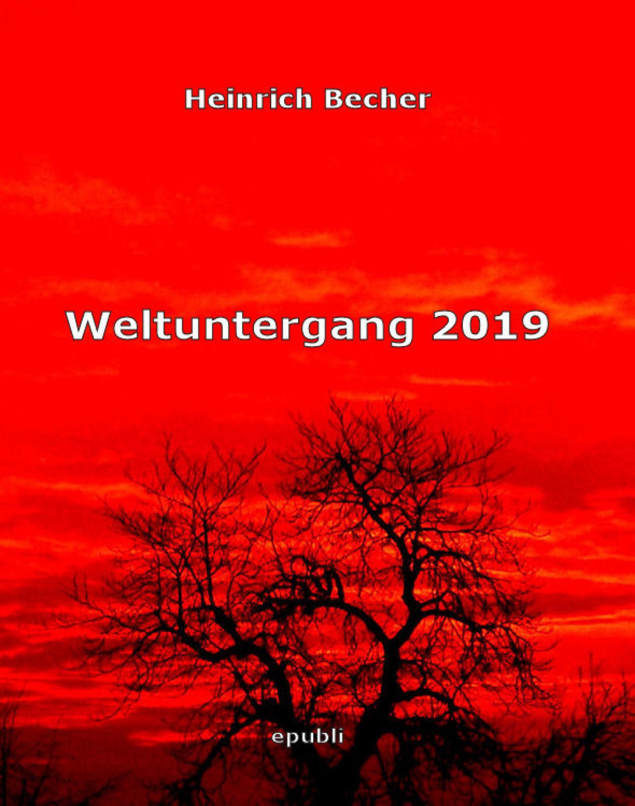 Обложка книги «Weltuntergang 2019»