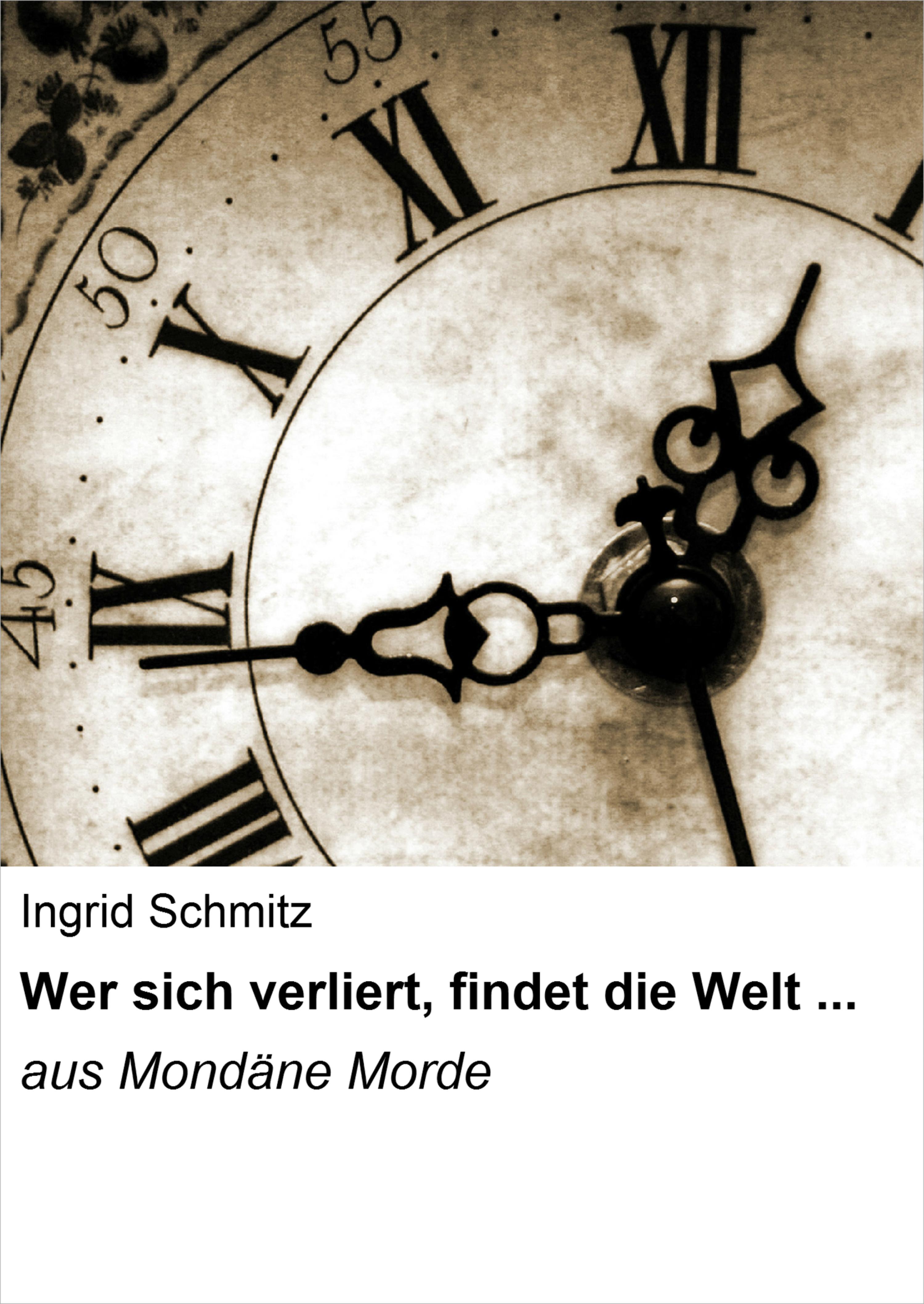 Обложка книги «Wer sich verliert, findet die Welt ...»