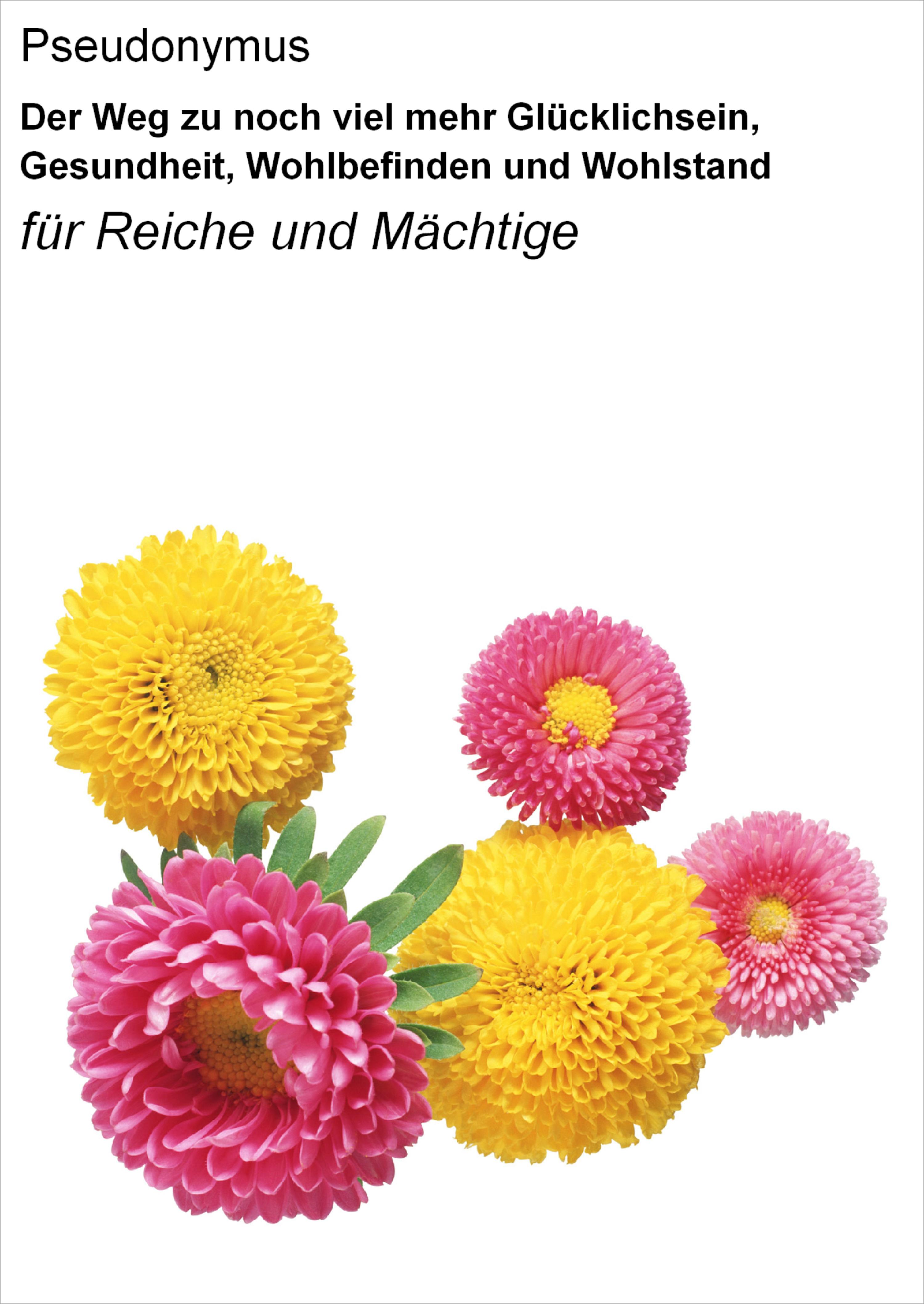 Обложка книги «Der Weg zu noch viel mehr Glücklichsein, Gesundheit, Wohlbefinden und Wohlstand»