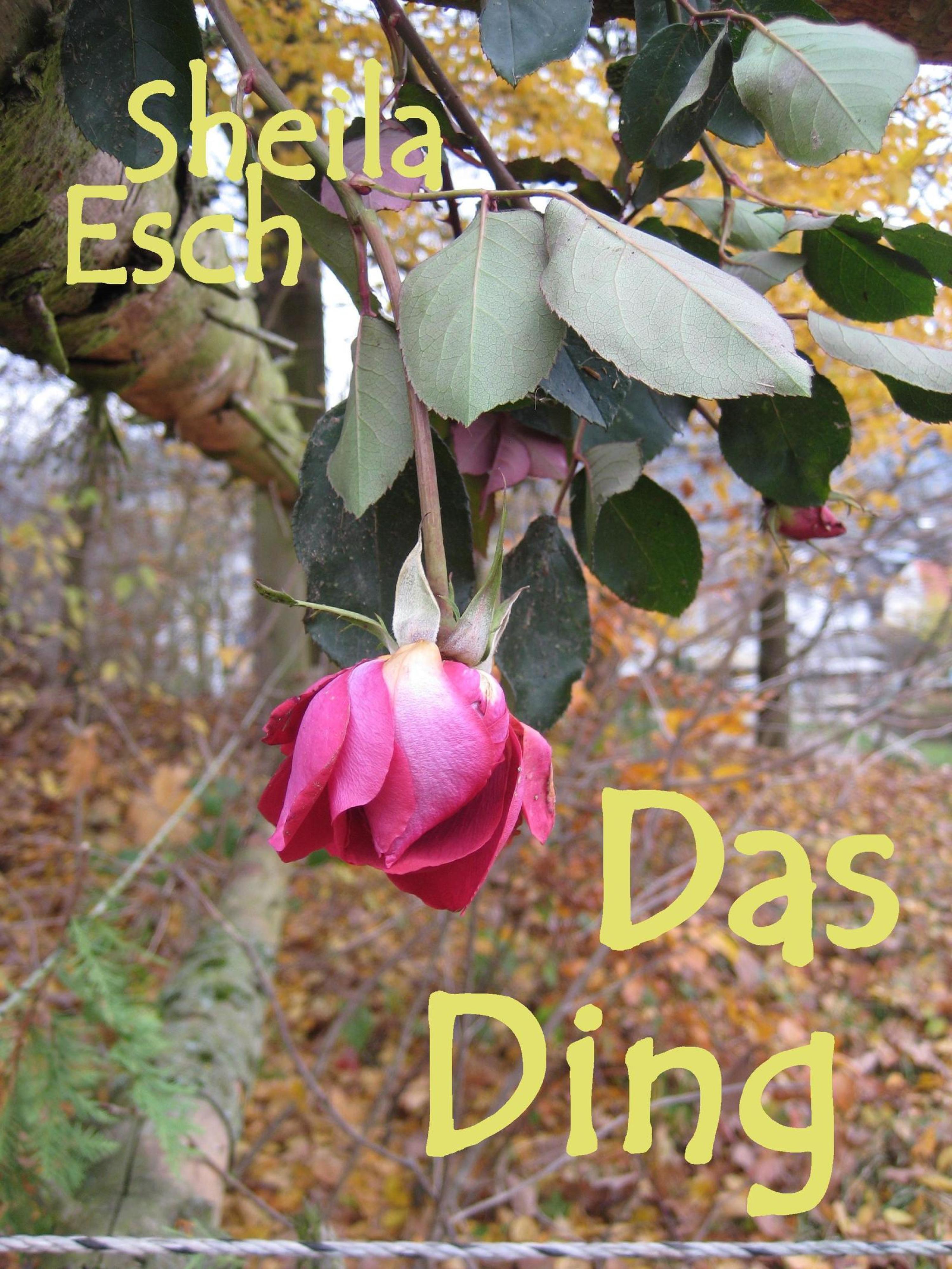 Обложка книги «Das Ding»