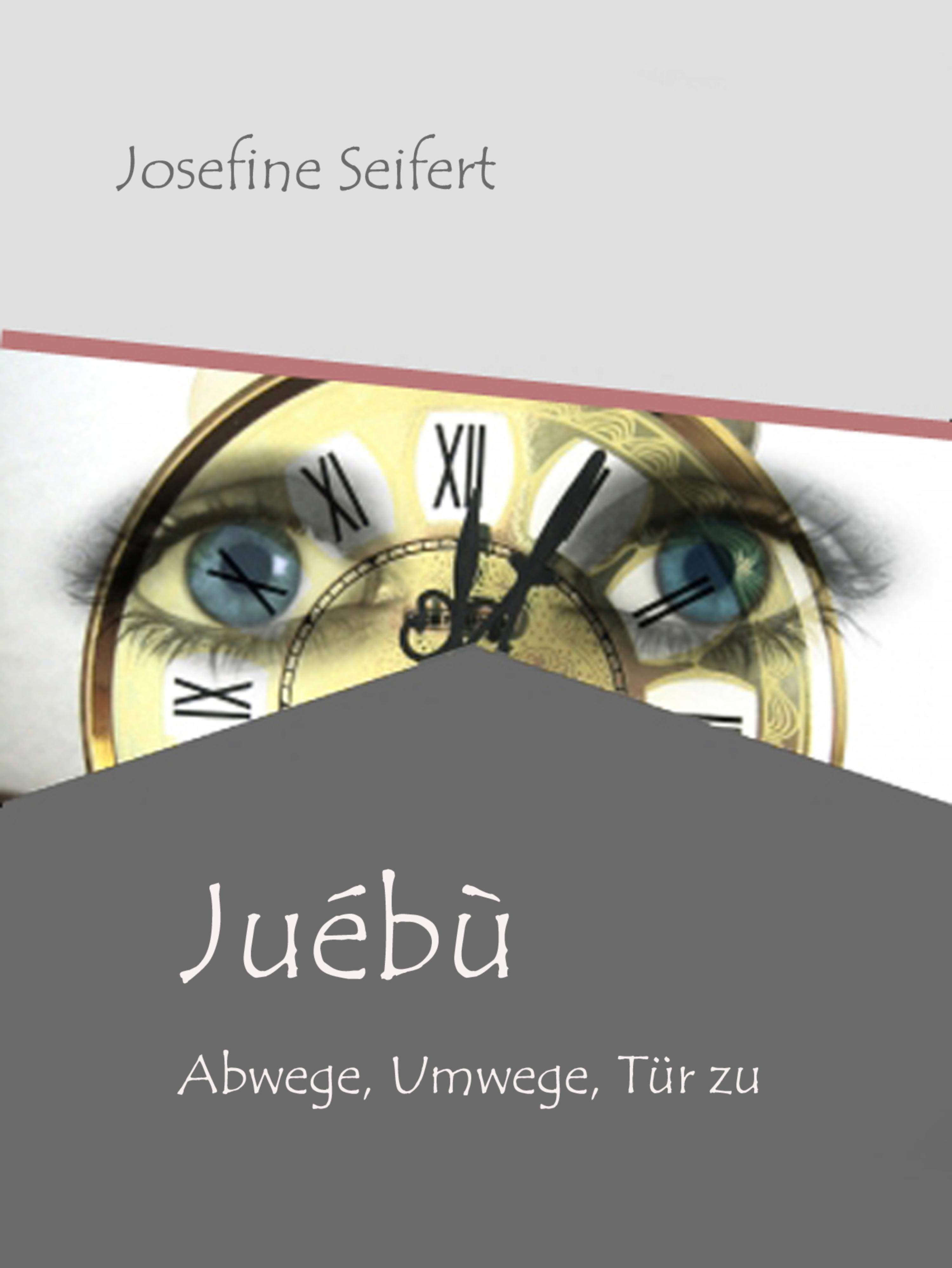 Обложка книги «Juébù»