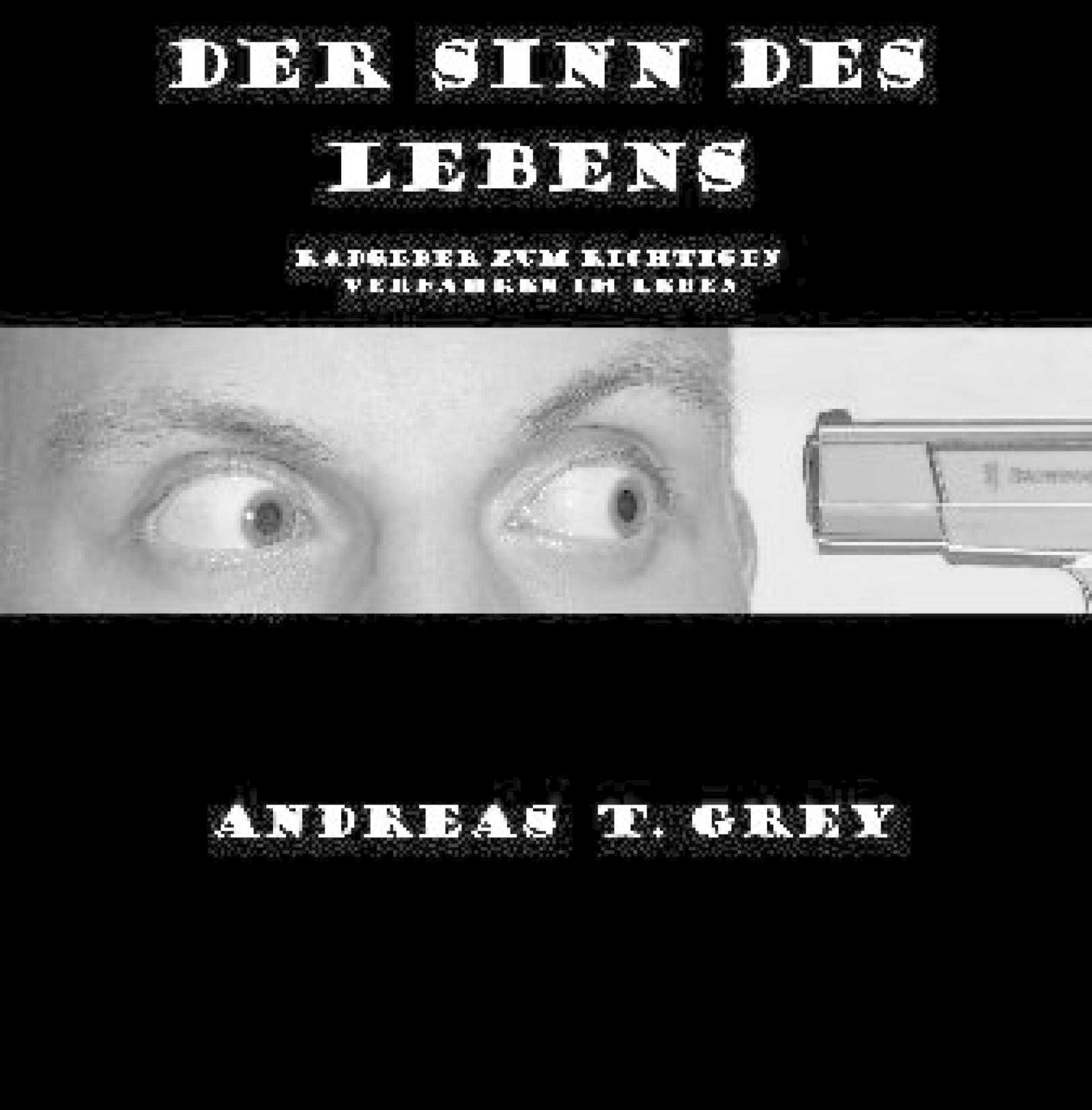 Обложка книги «Der Sinn des Lebens»