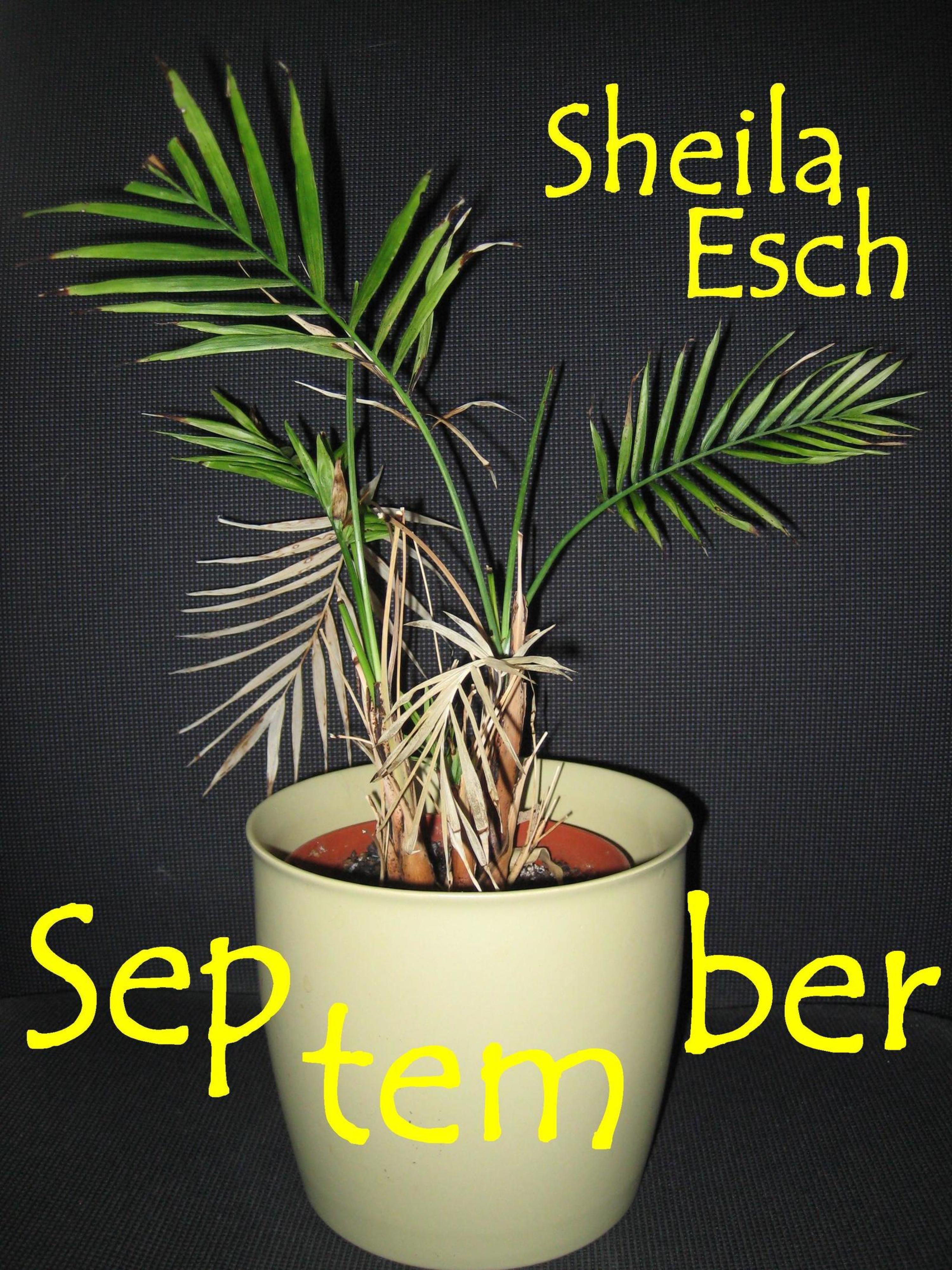 Обложка книги «September»