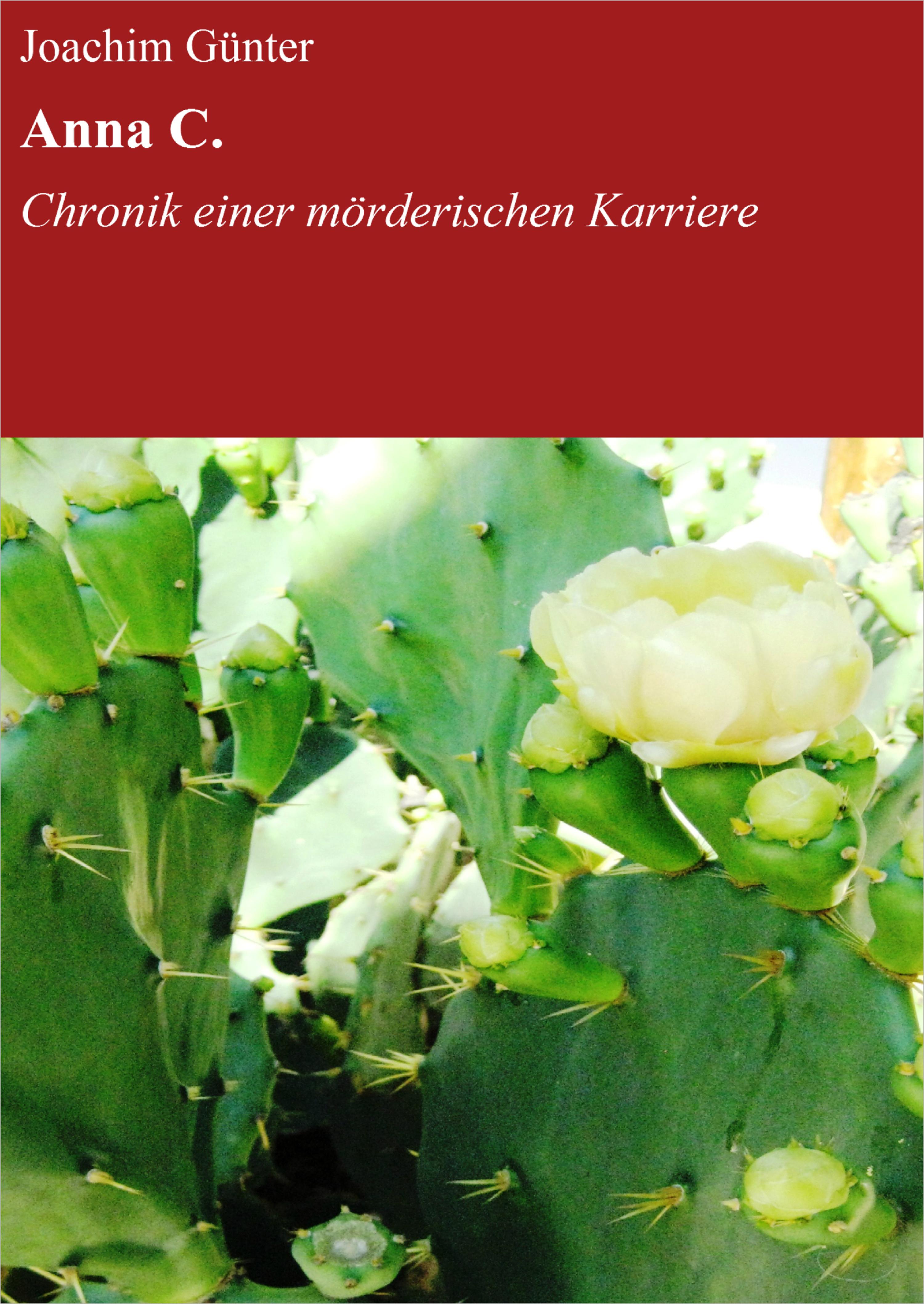 Обложка книги «Anna C.»