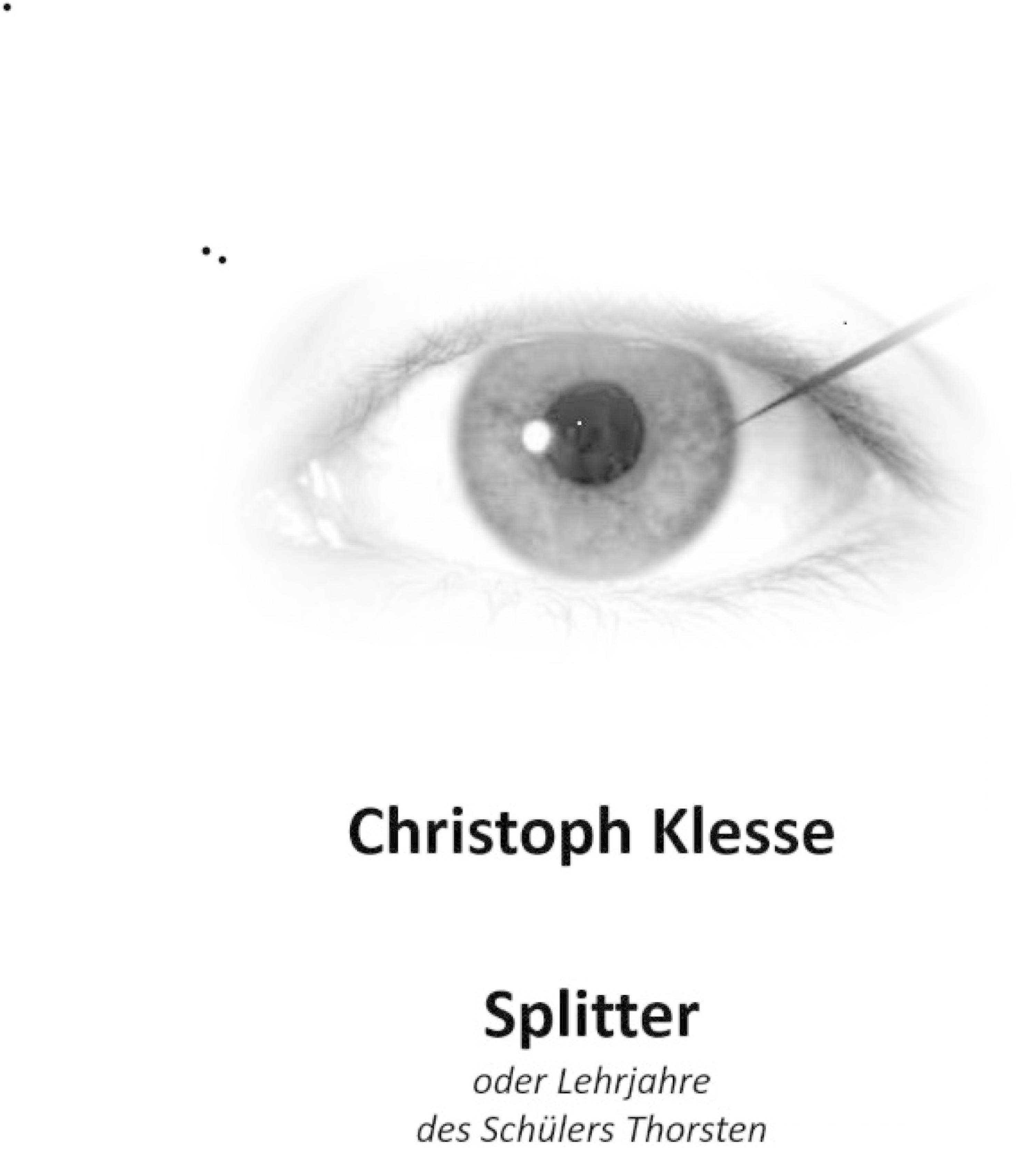 Обложка книги «Splitter»