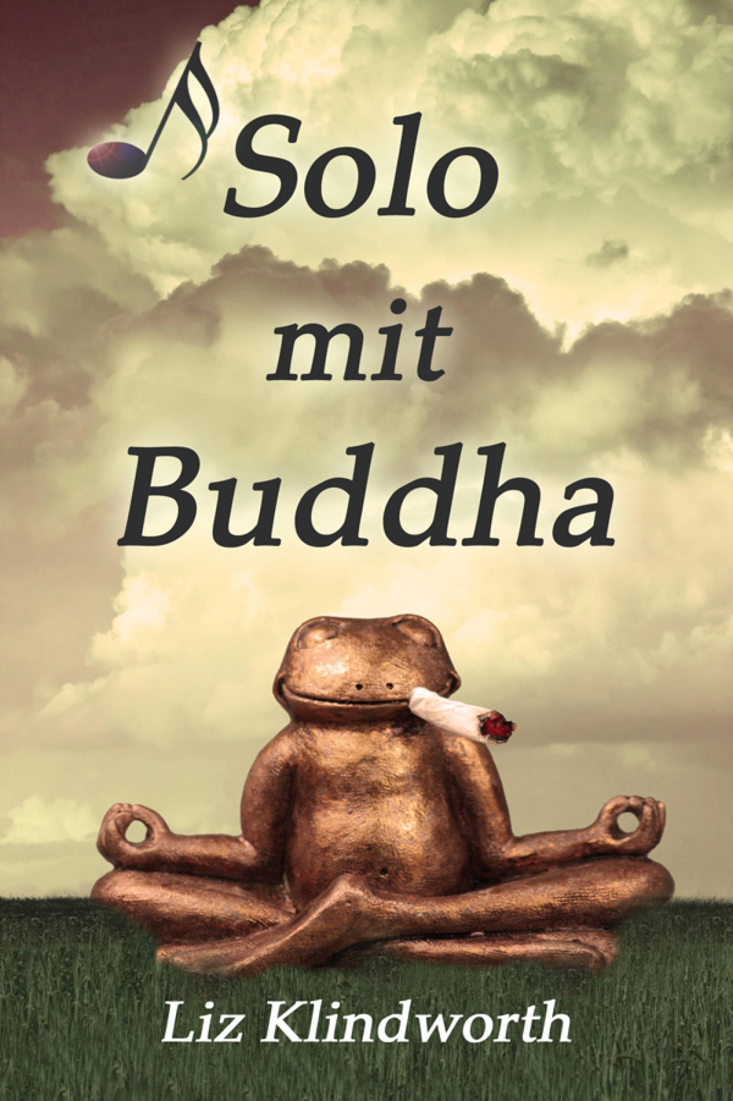 Обложка книги «Solo mit Buddha»