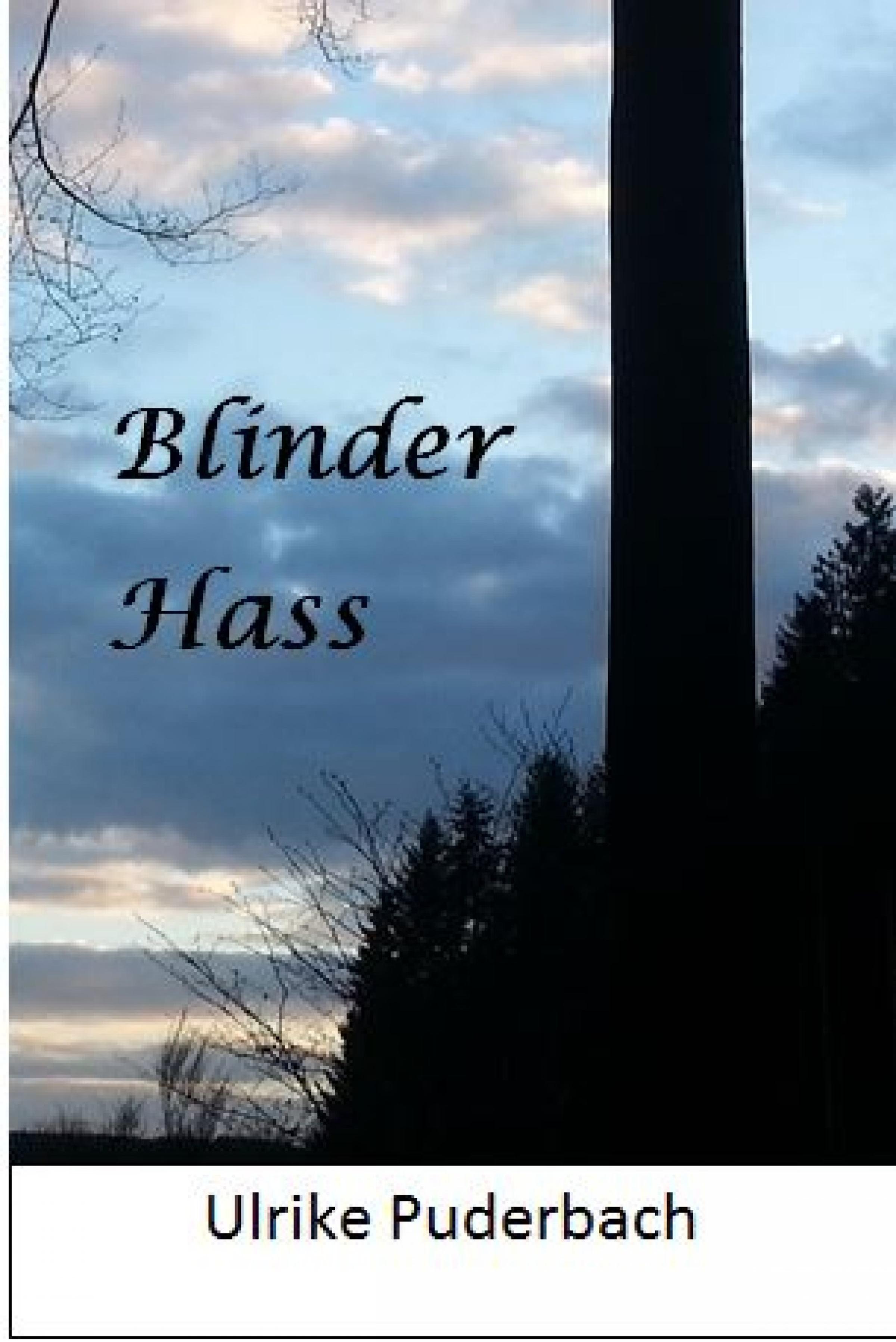 Обложка книги «Blinder Hass»