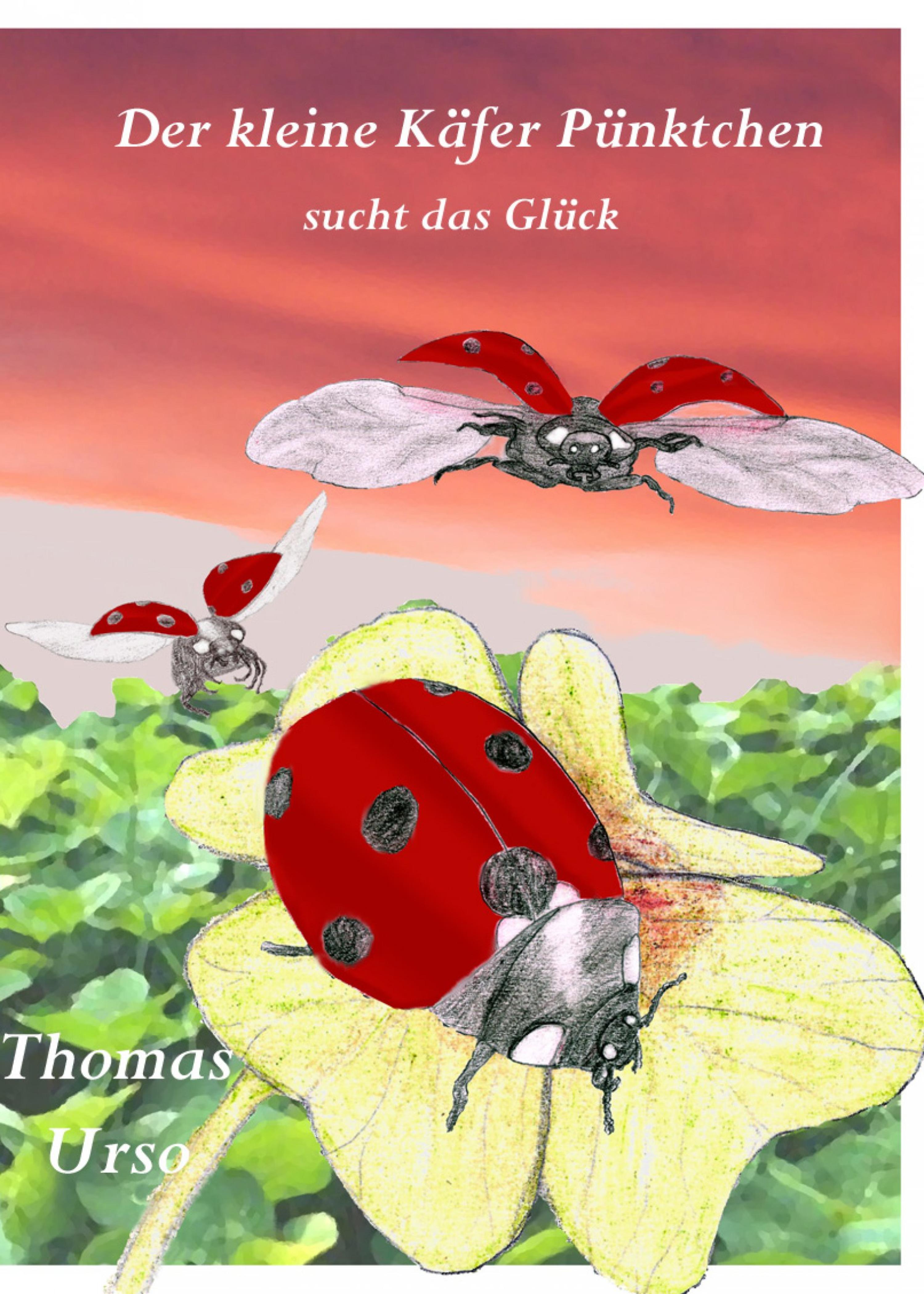 Обложка книги «Der Kleine Käfer Pünktchen Sucht das Glück»