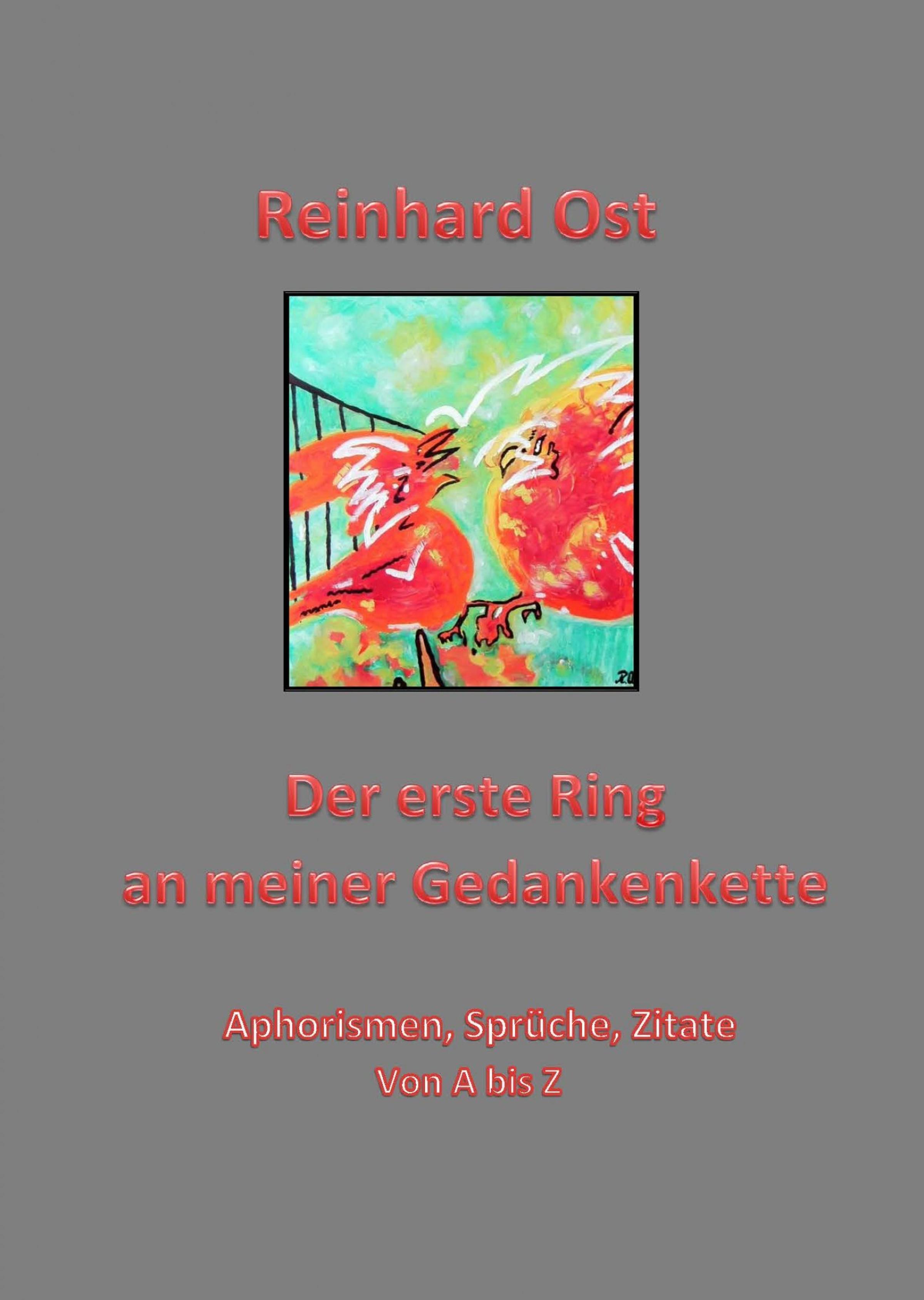 Обложка книги «Der erste Ring»