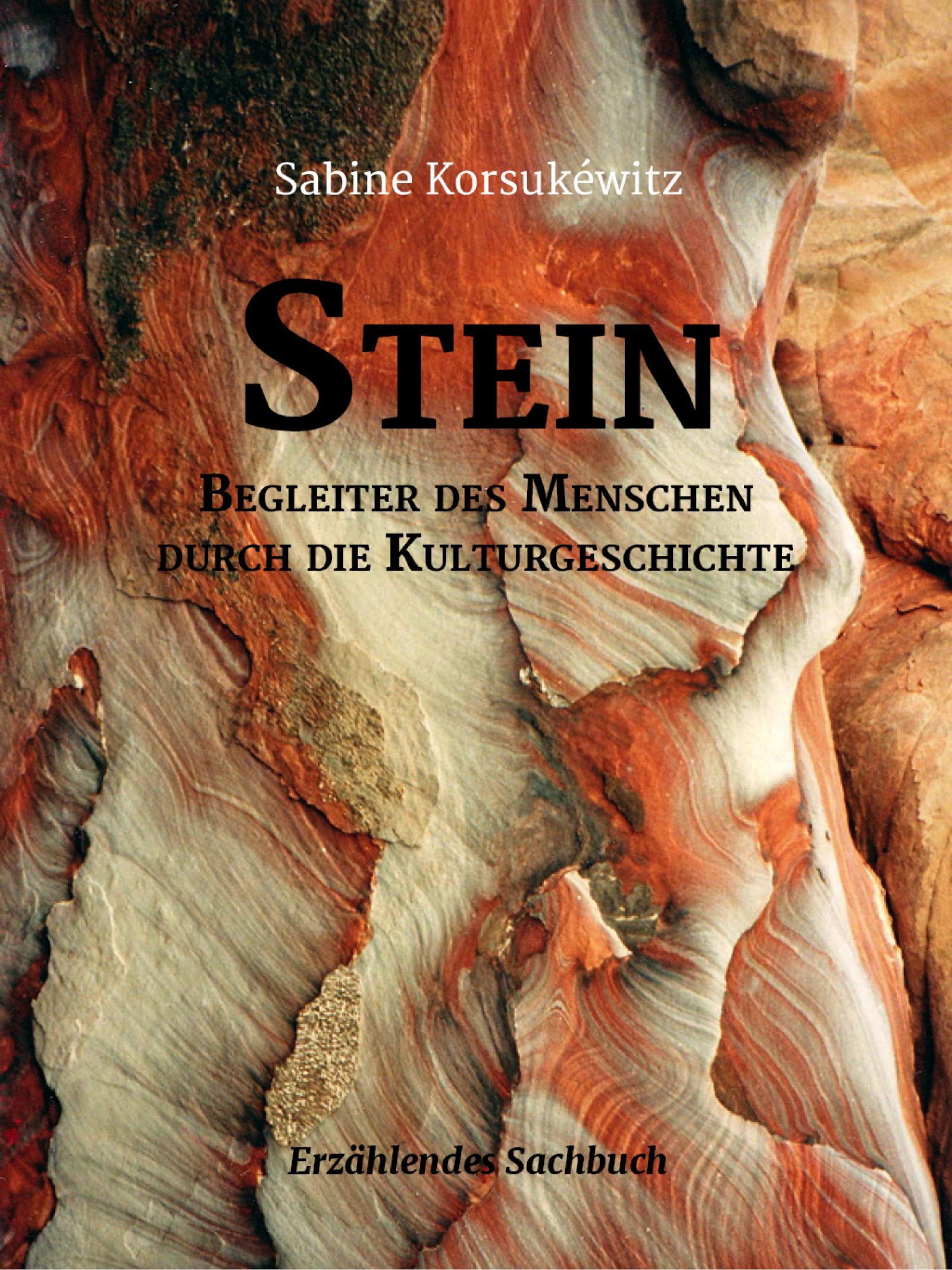 Обложка книги «Stein»