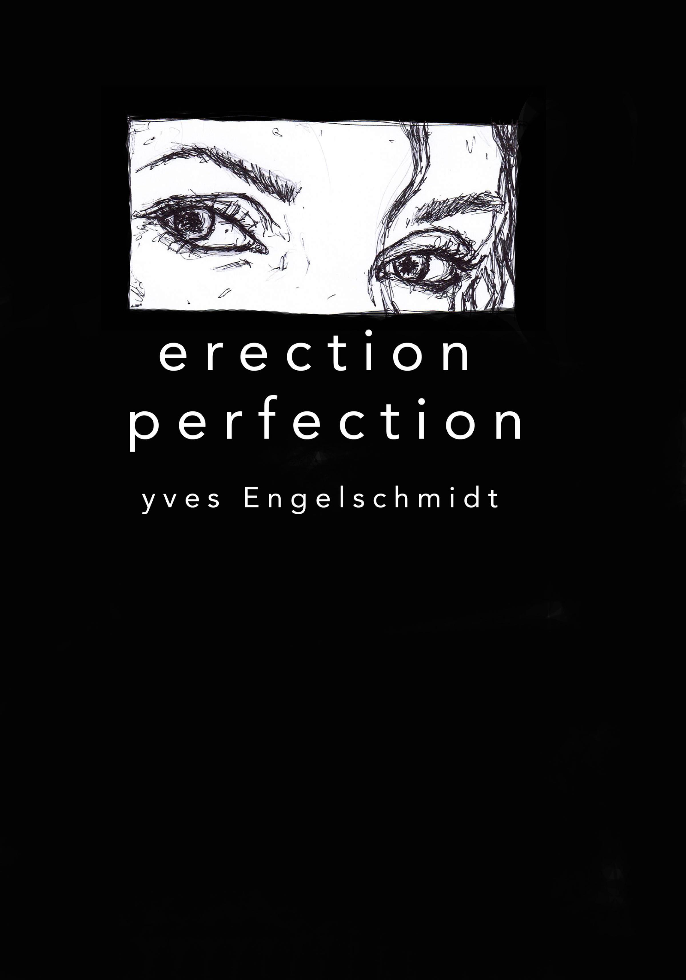 Обложка книги «Erection Perfection»