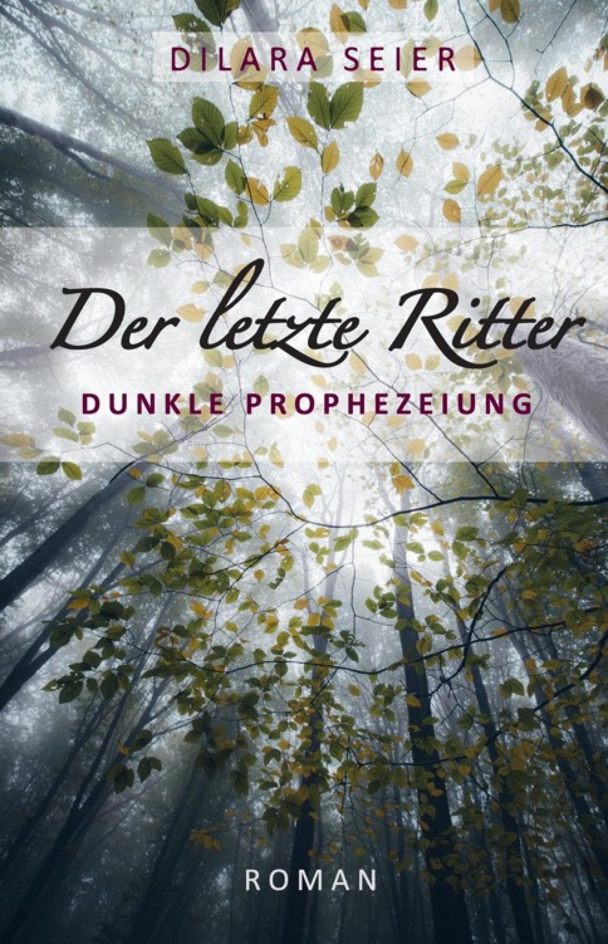 Обложка книги «Der letzte Ritter»