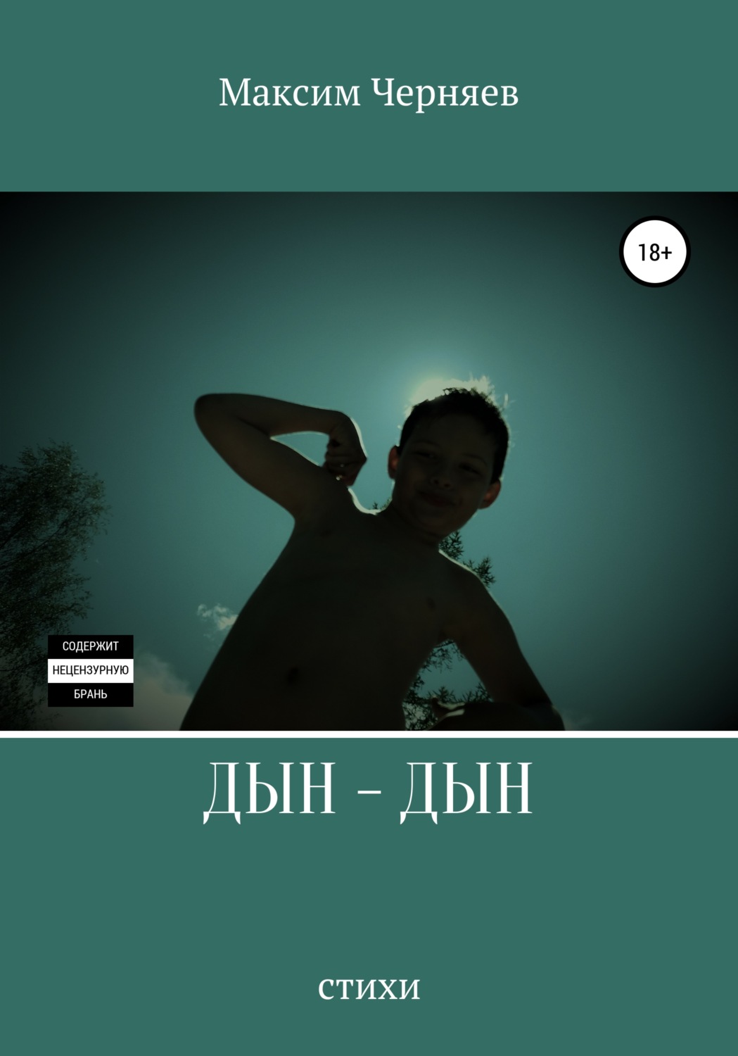 Обложка книги «Дын-дын»