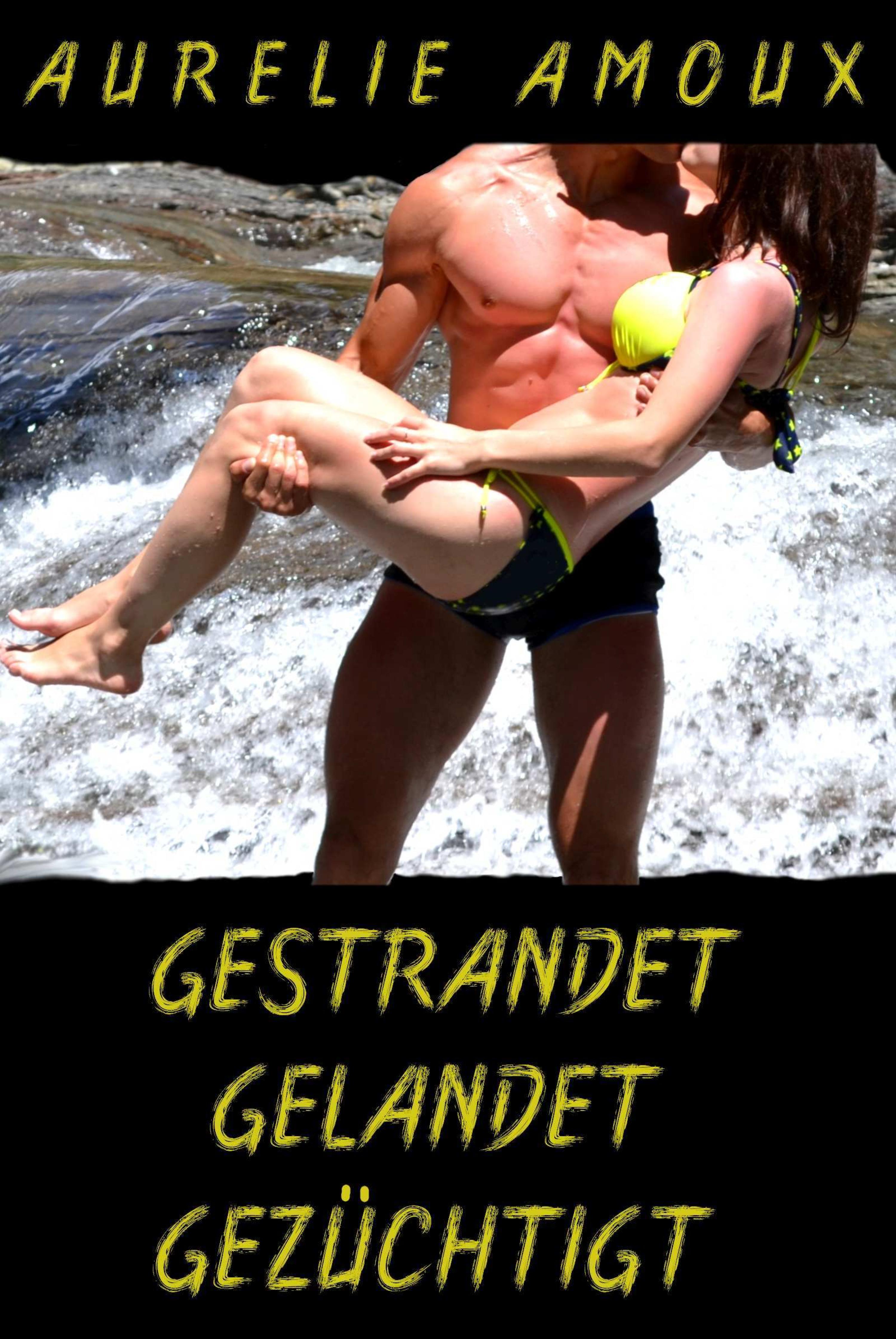 Обложка книги «Gestrandet, gelandet, gezüchtigt»