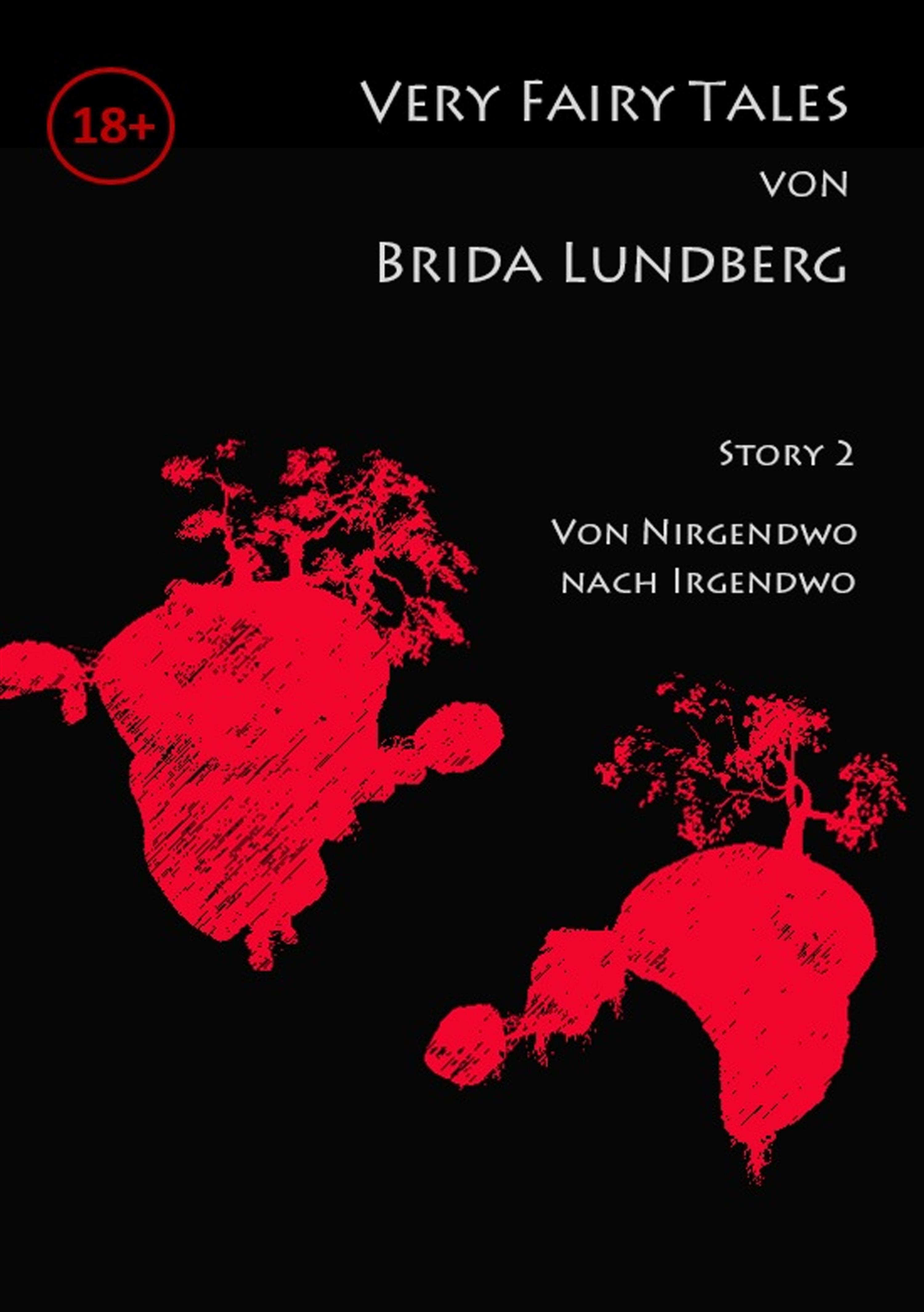 Обложка книги «Von Nirgendwo nach Irgendwo»