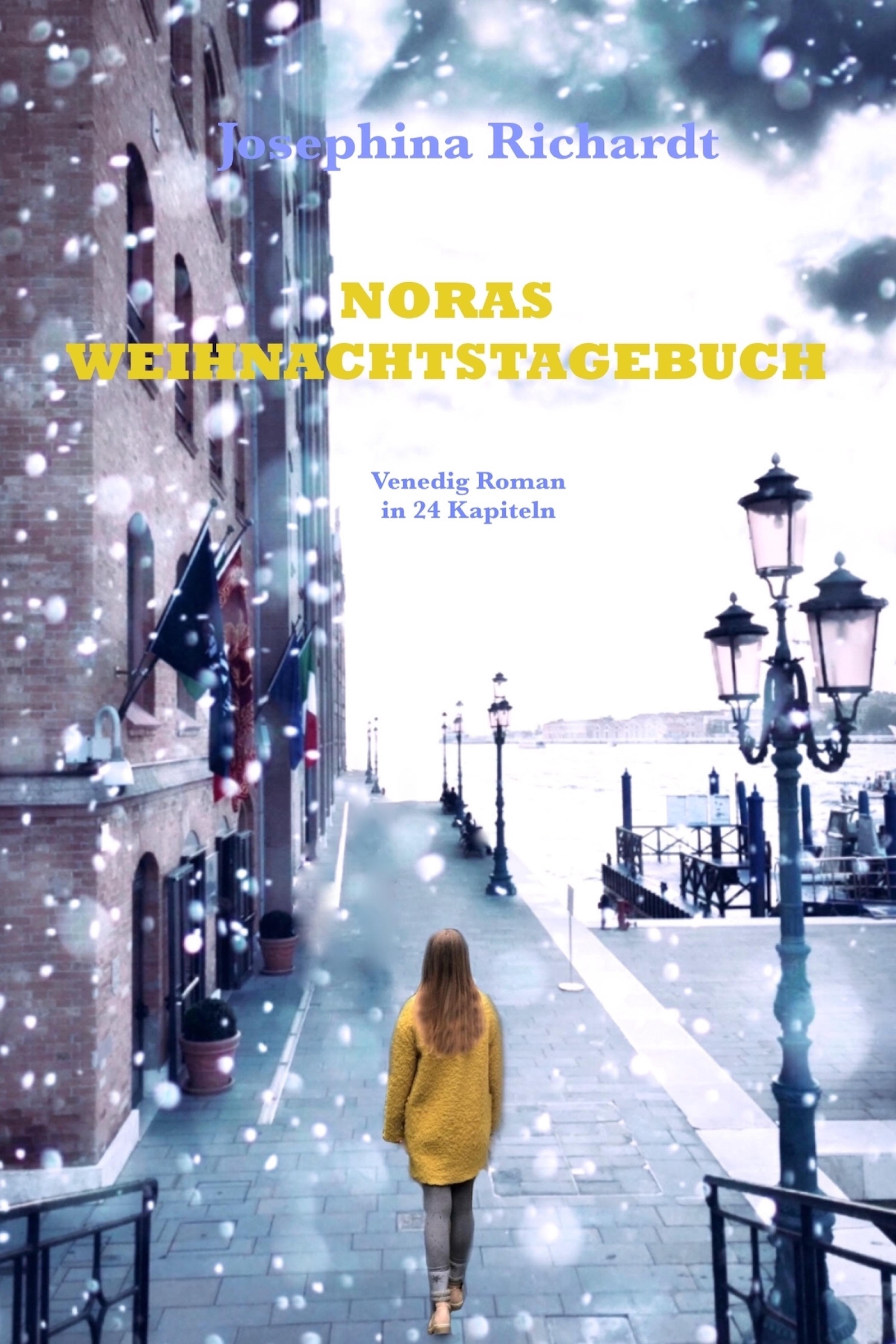 Обложка книги «Noras Weihnachtstagebuch»