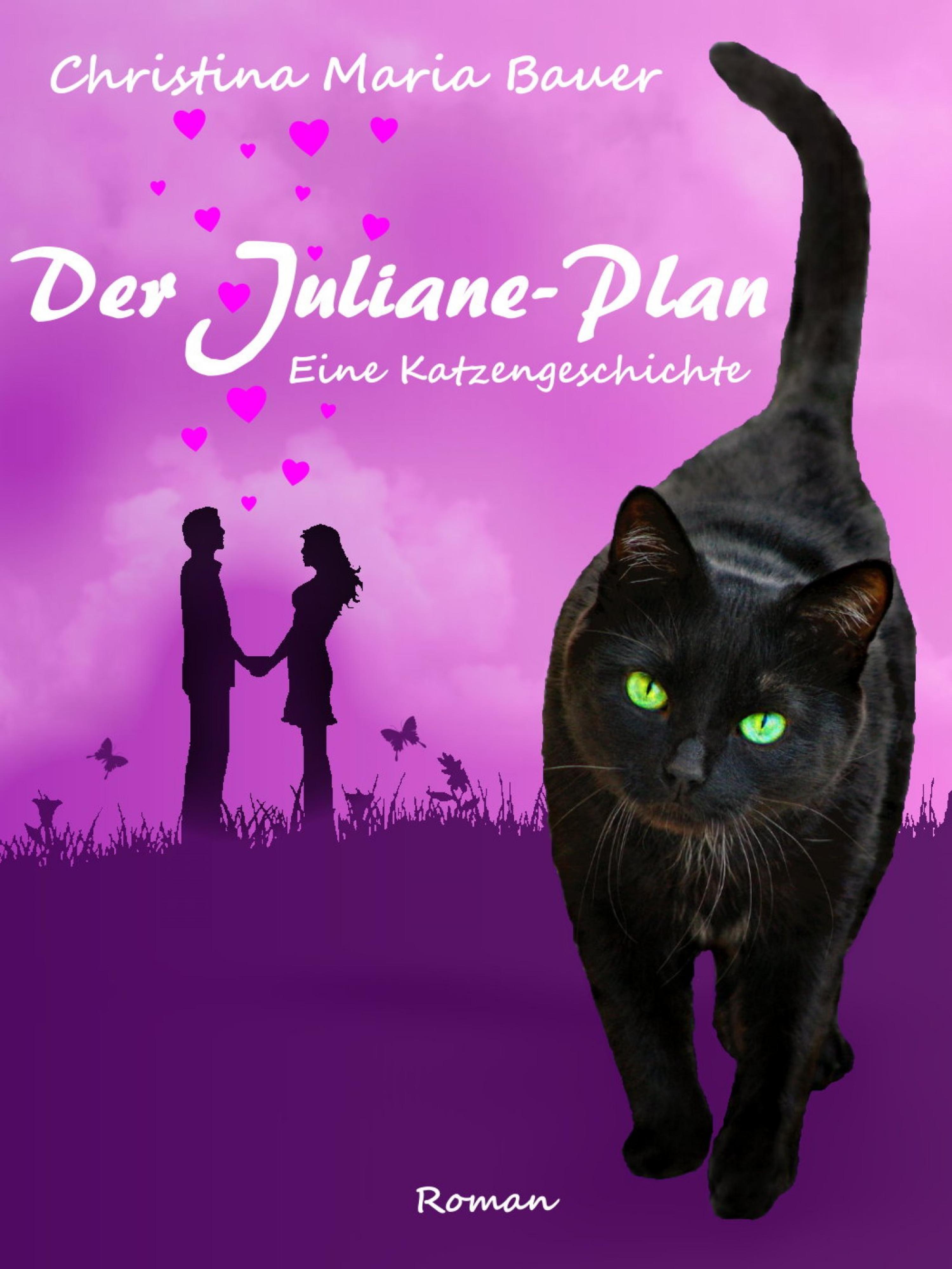 Обложка книги «Der Juliane-Plan»