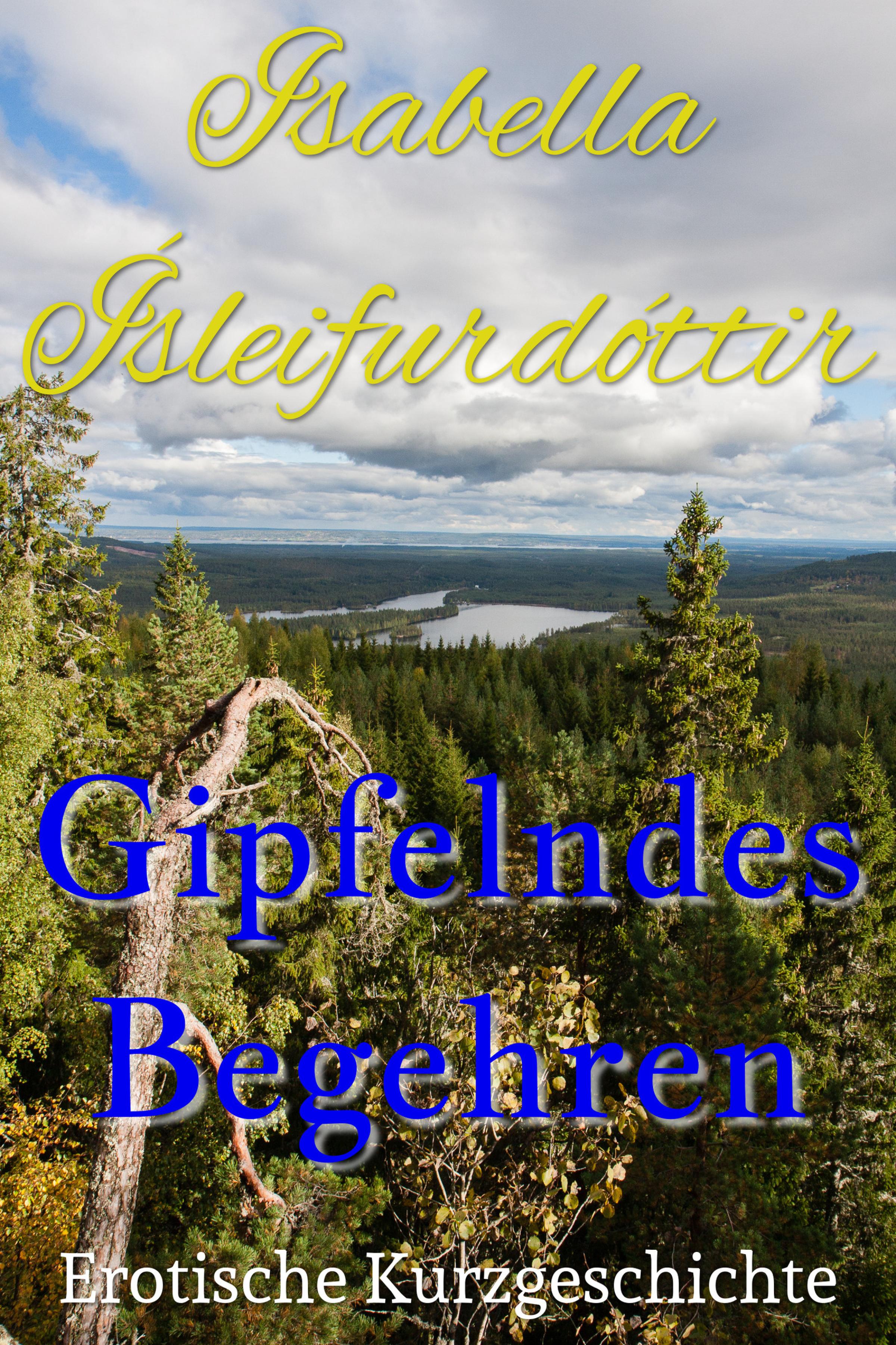 Обложка книги «Gipfelndes Begehren»