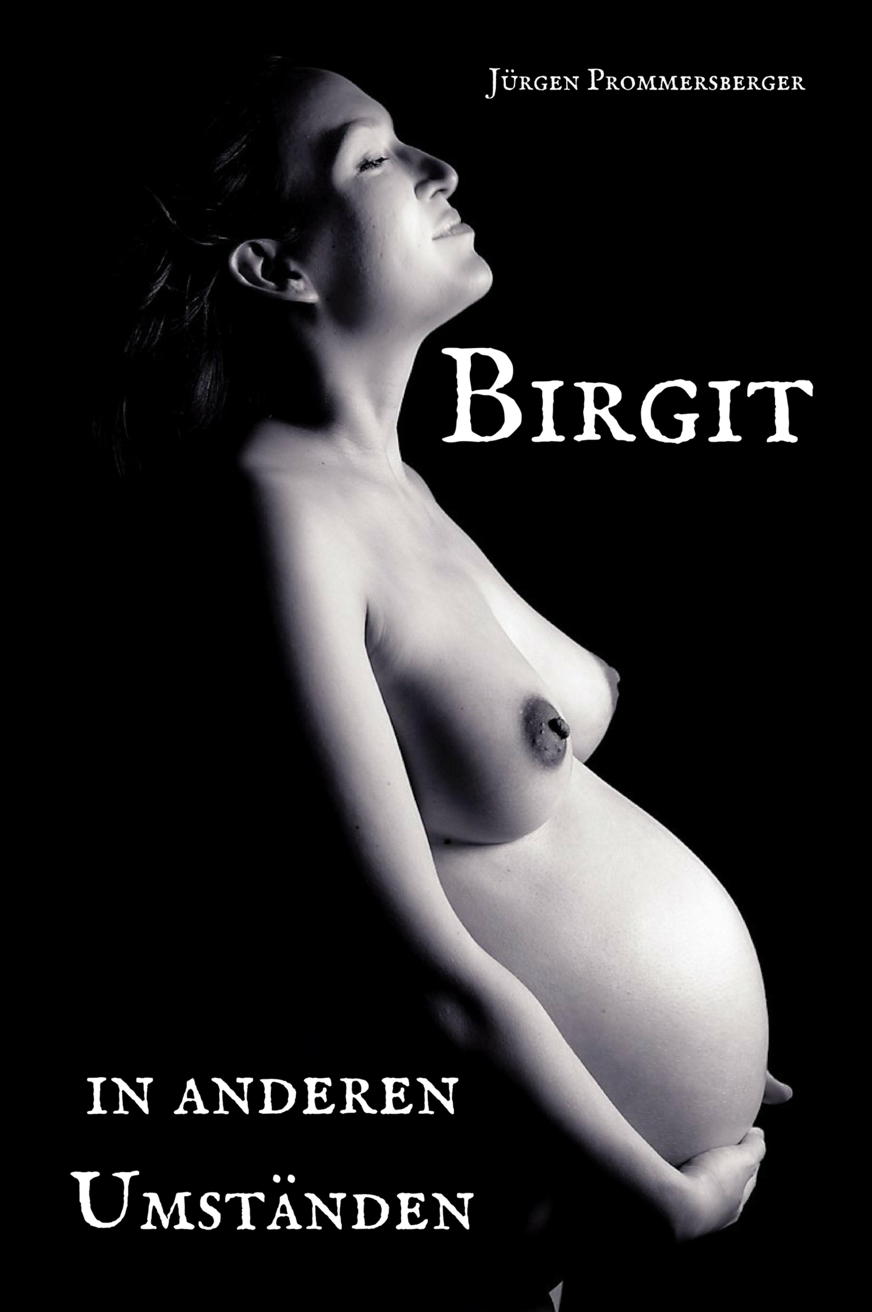 Обложка книги «Birgit in anderen Umständen»