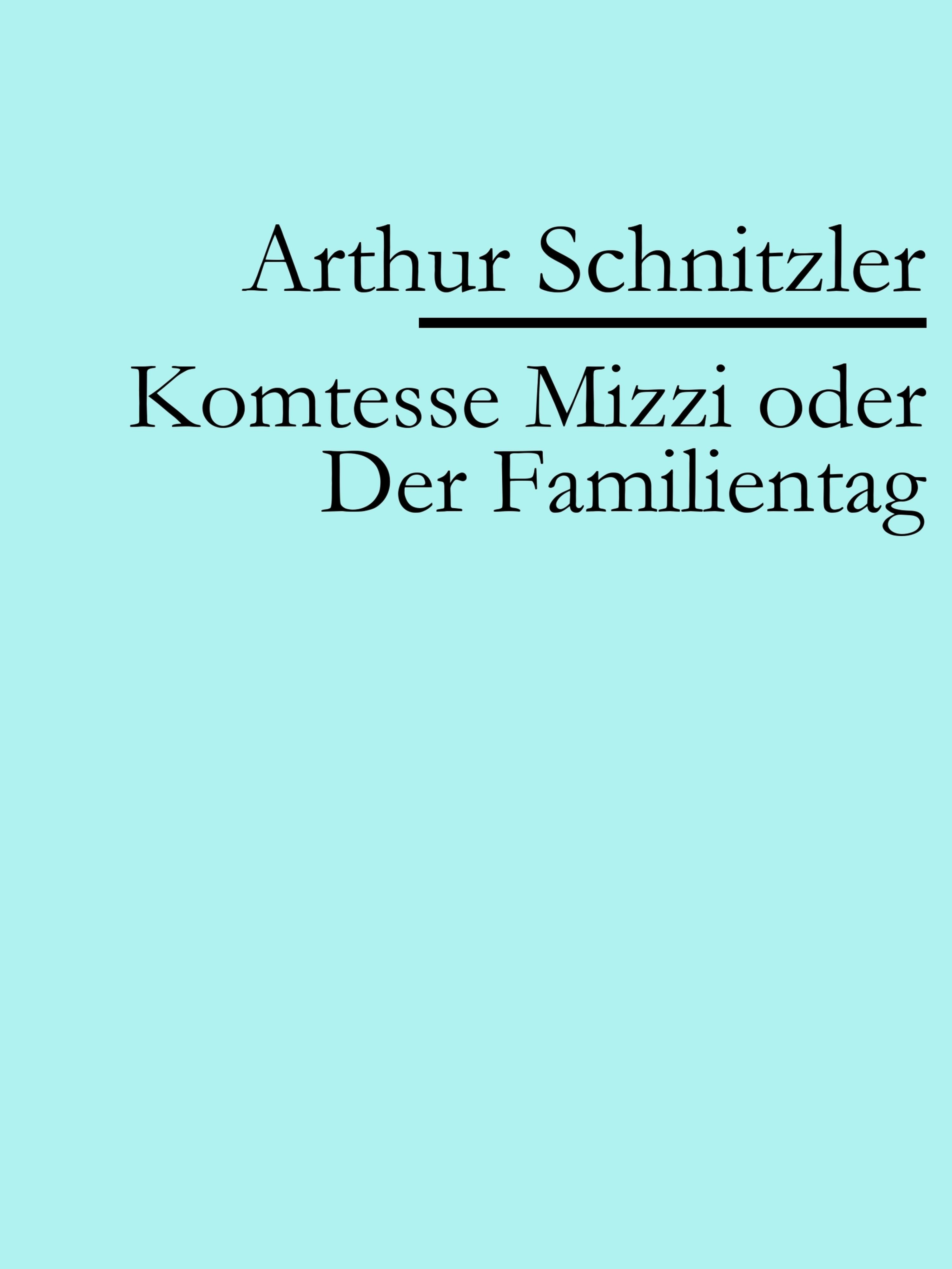 Обложка книги «Komtesse Mizzi oder Der Familientag»