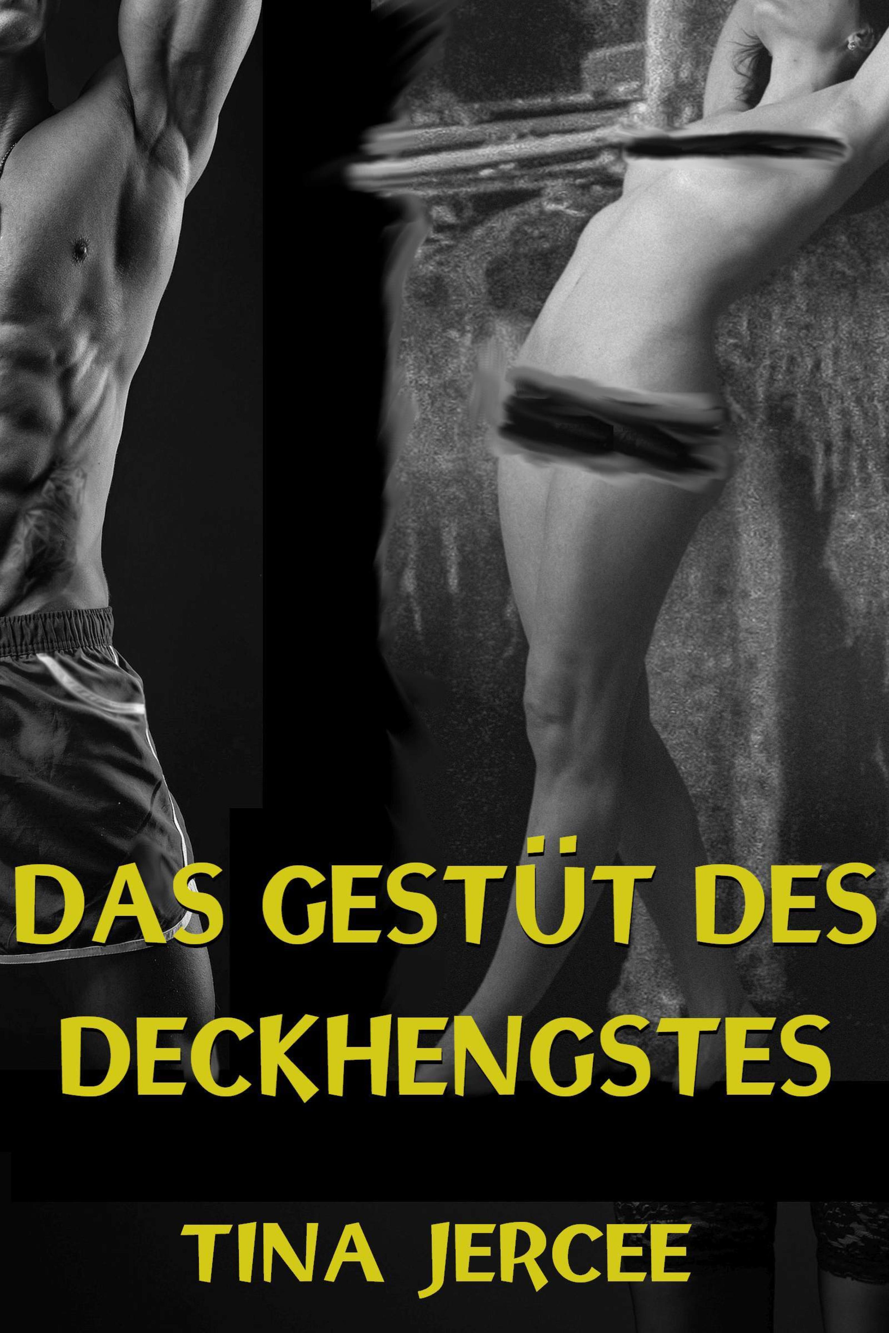 Обложка книги «Das Gestüt des Deckhengstes»