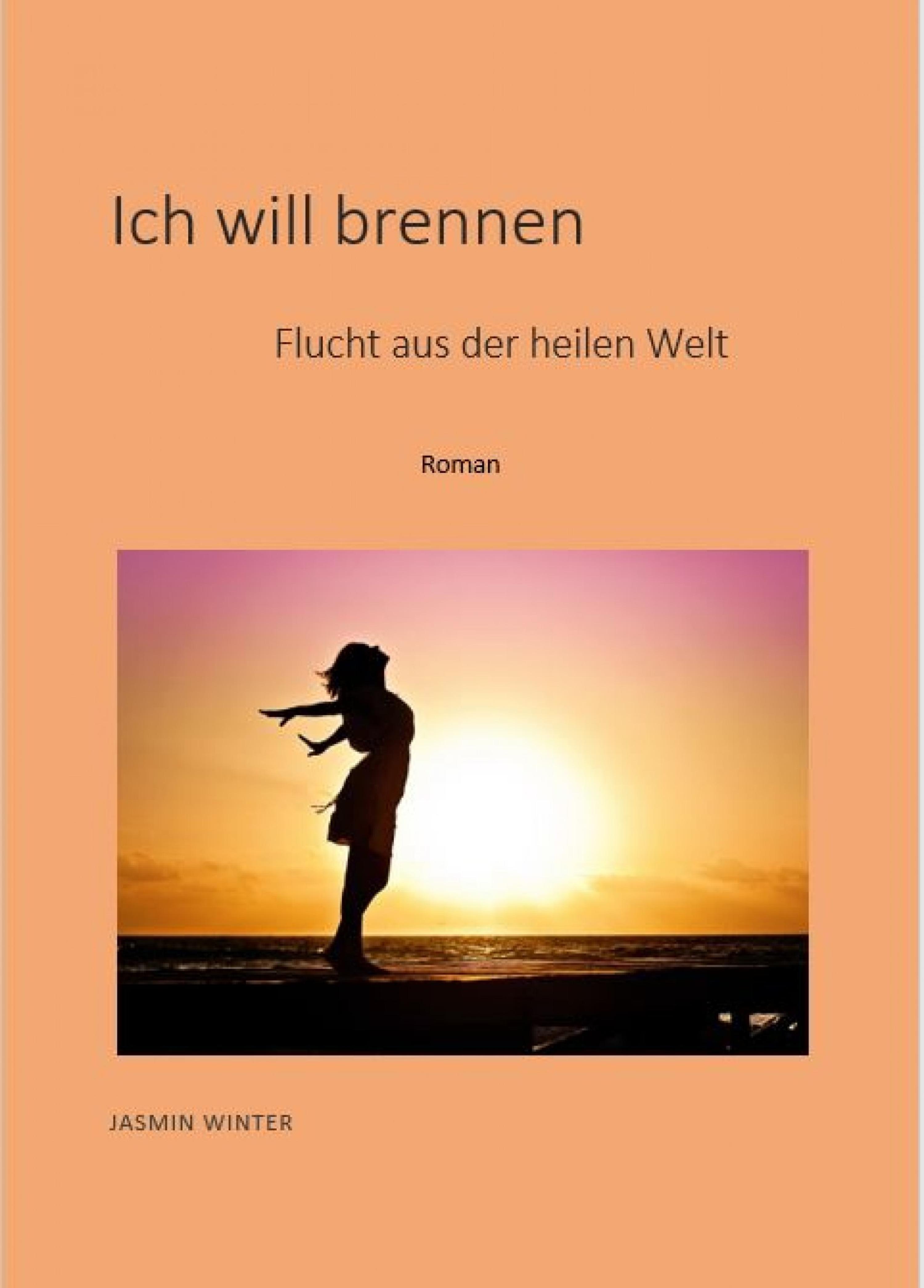 Обложка книги «Ich will brennen»