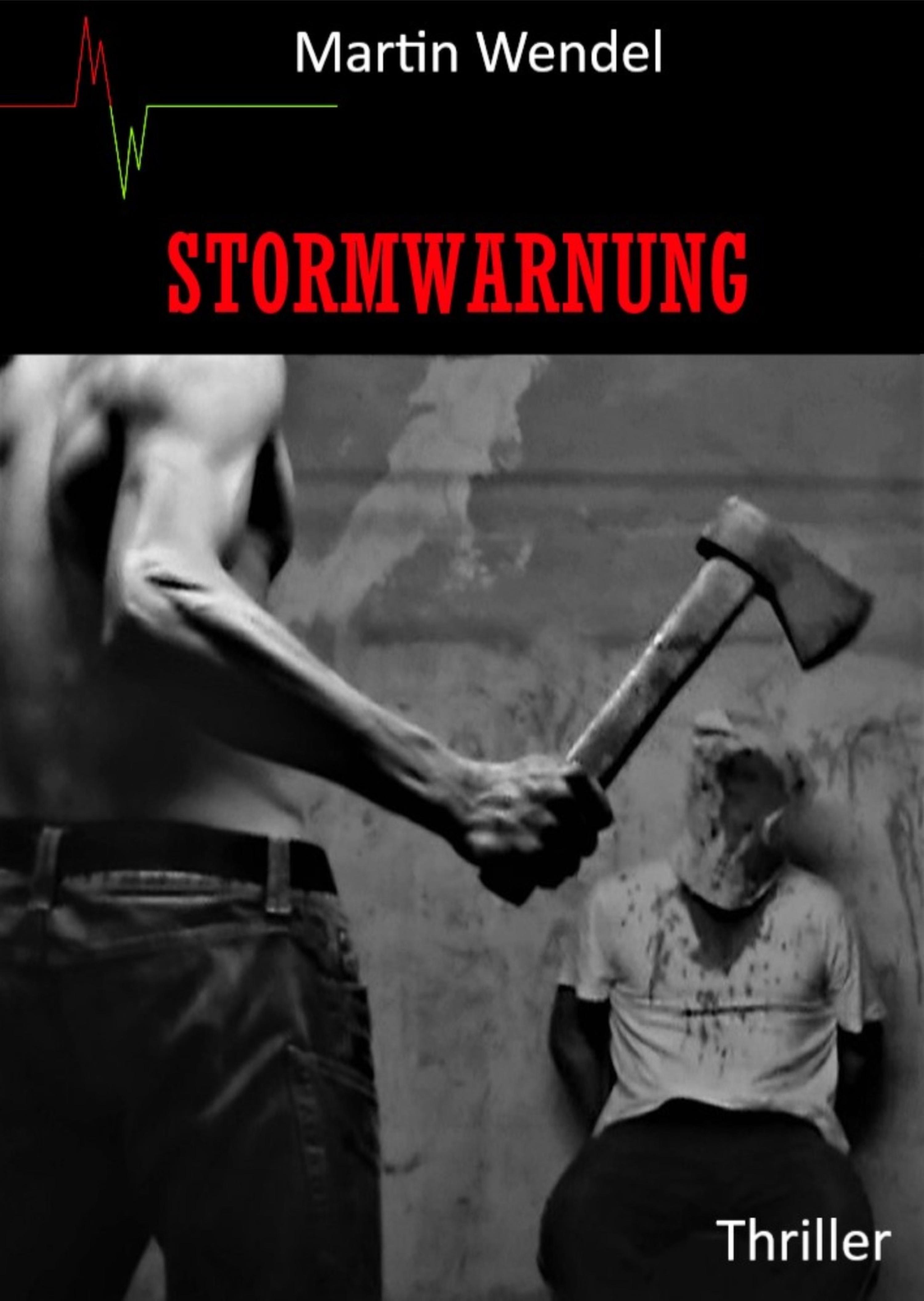 Обложка книги «Stormwarnung»