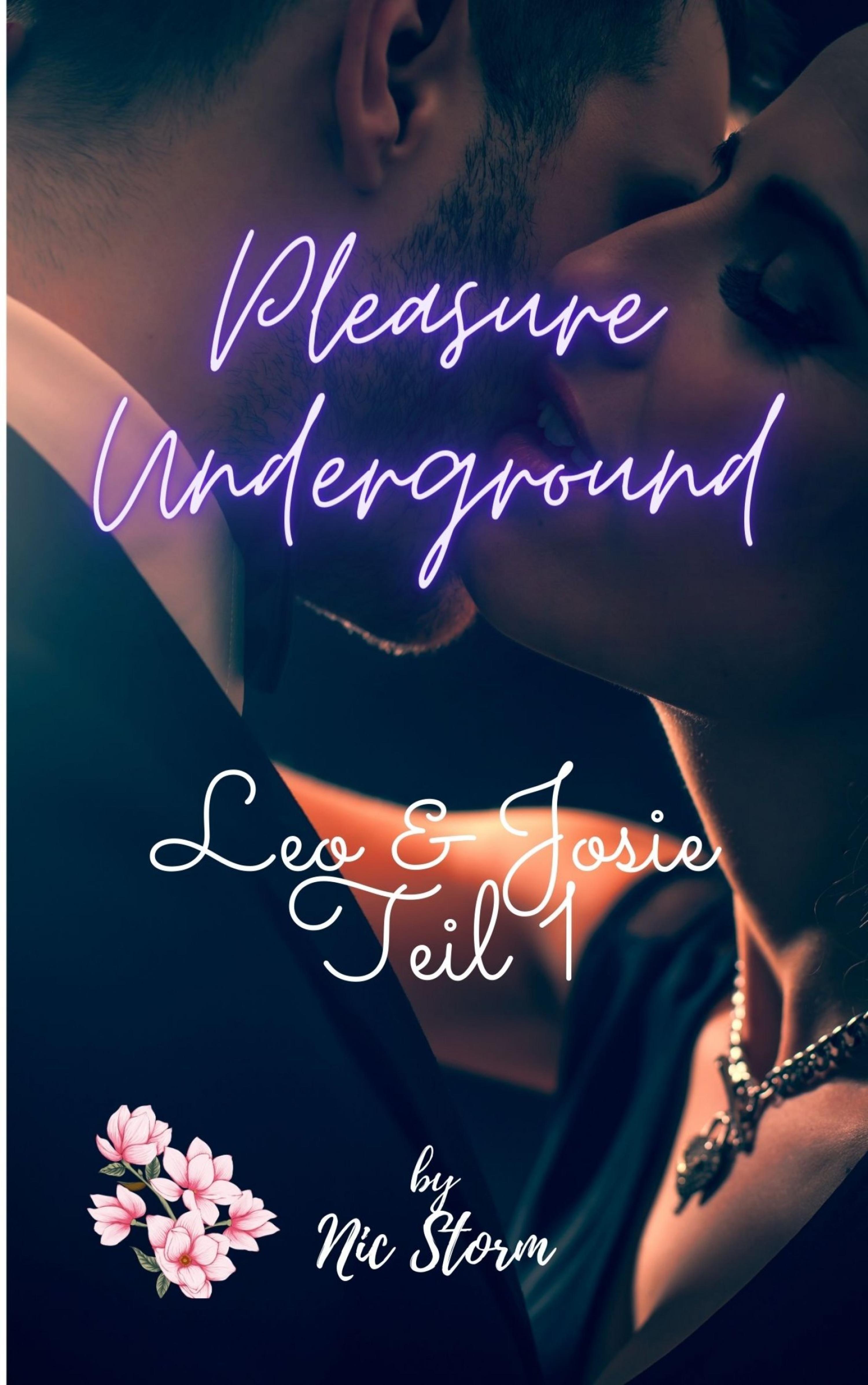Обложка книги «Pleasure Underground»