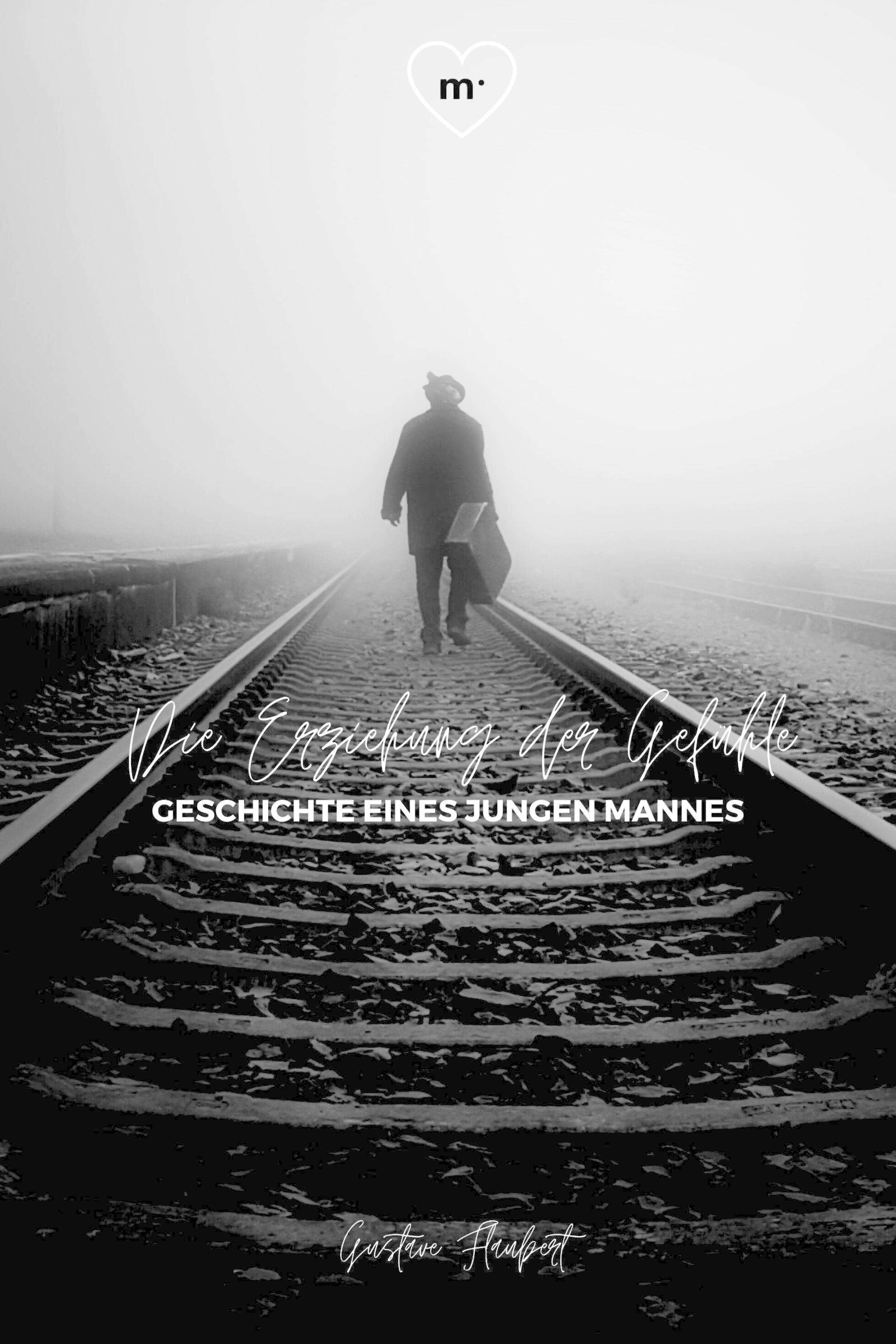 Обложка книги «Die Erziehung der Gefühle»