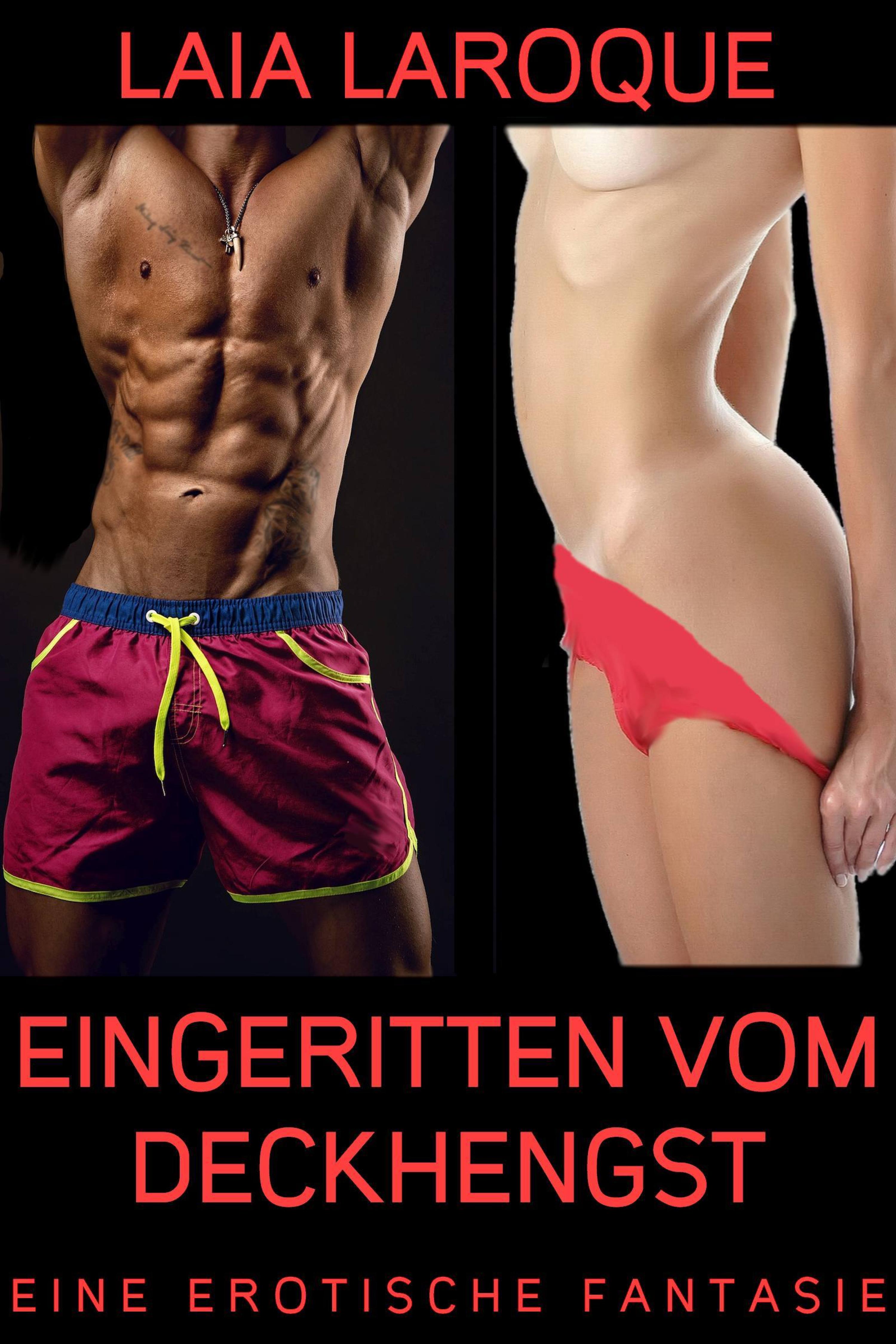 Обложка книги «Eingeritten vom Deckhengst»