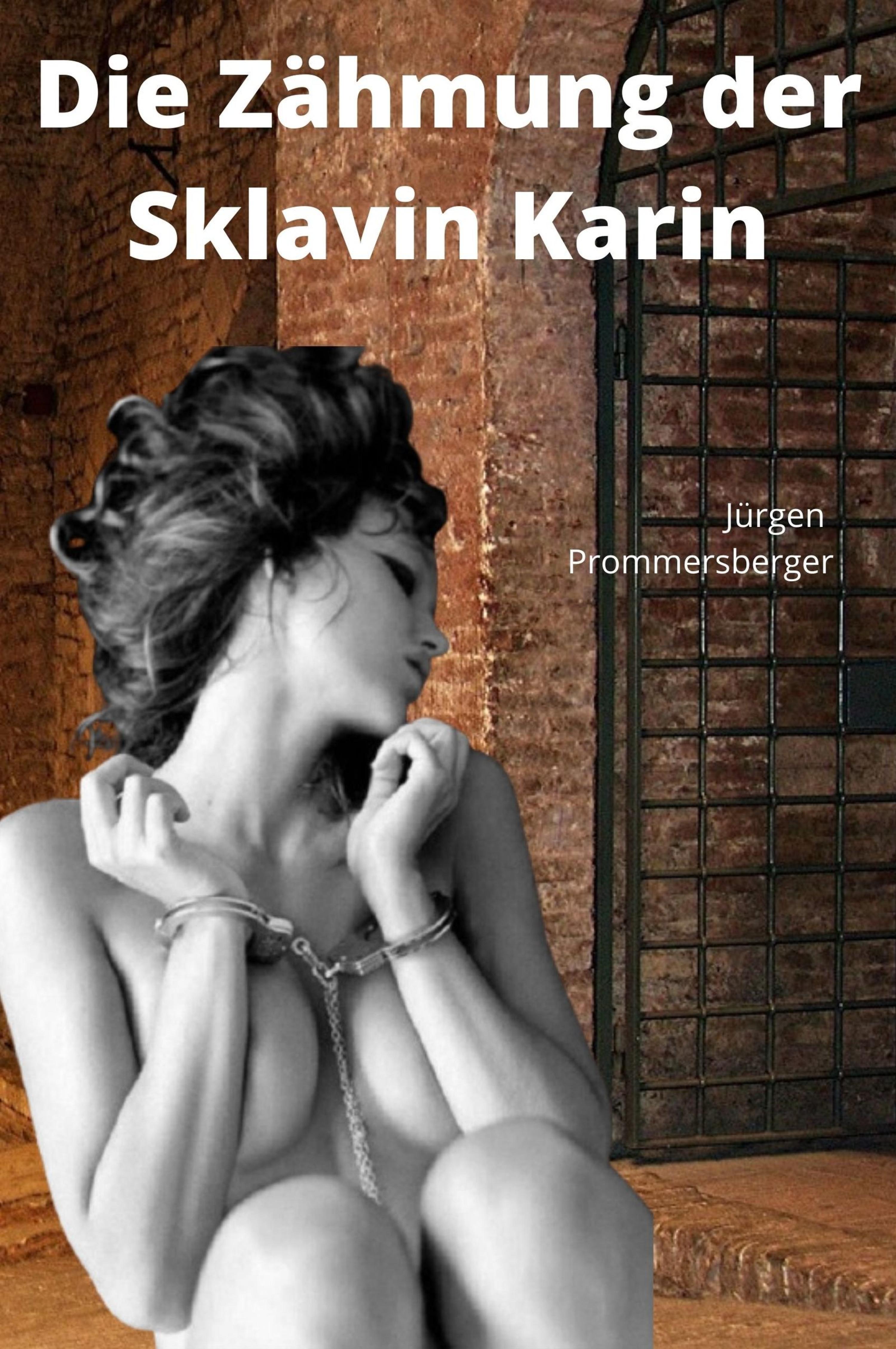 Обложка книги «Die Zähmung der Sklavin Karin»
