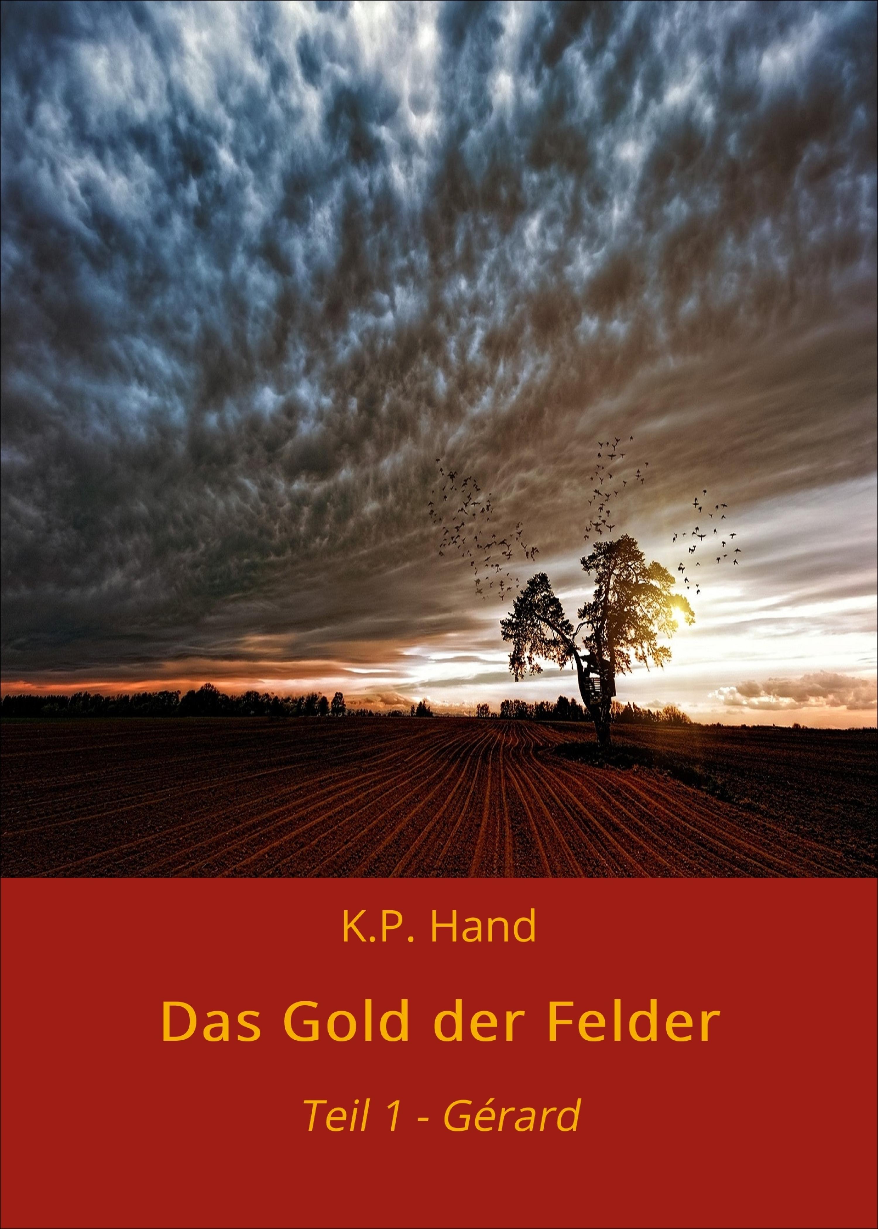 Обложка книги «Das Gold der Felder»
