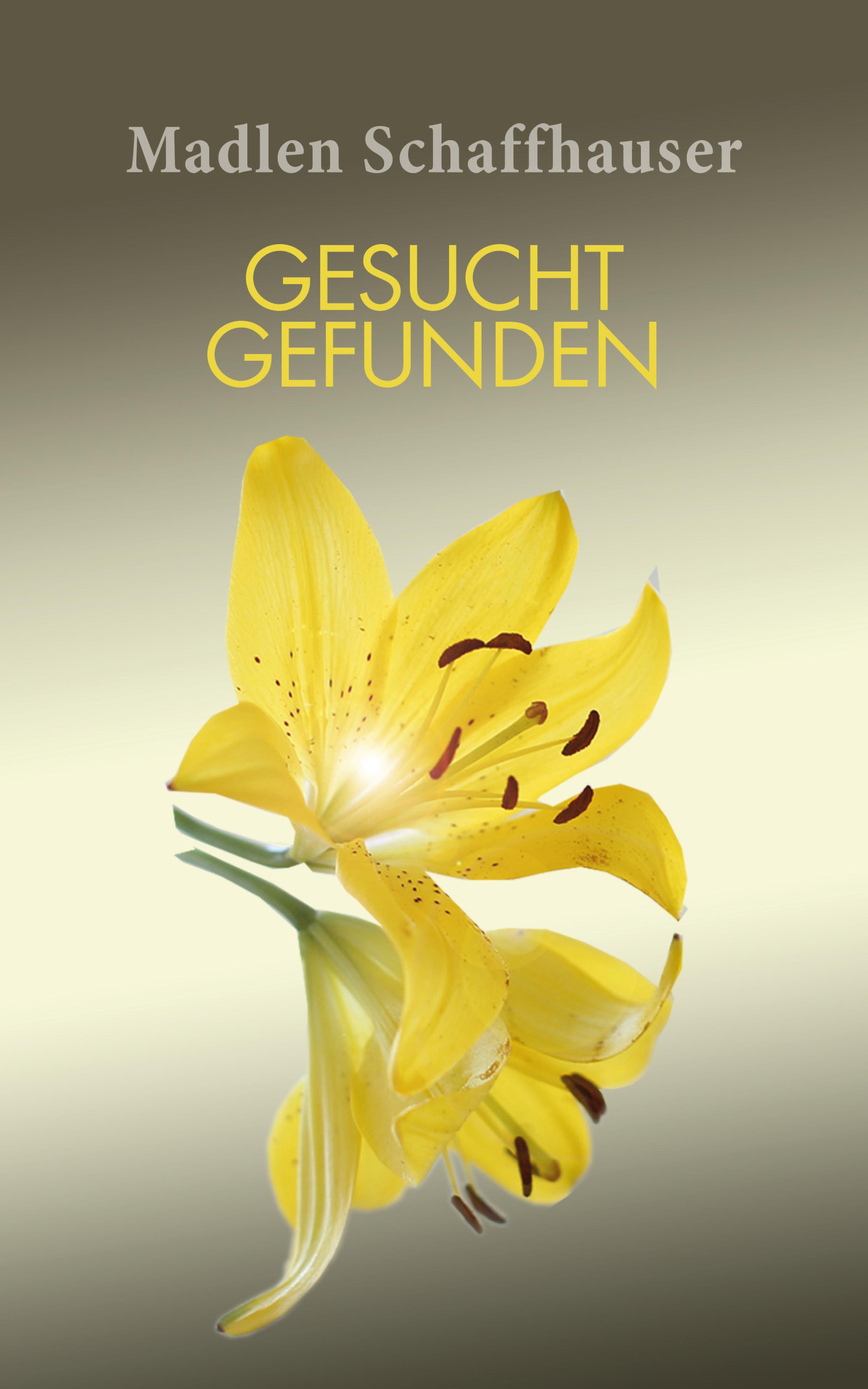 Обложка книги «gesucht gefunden»