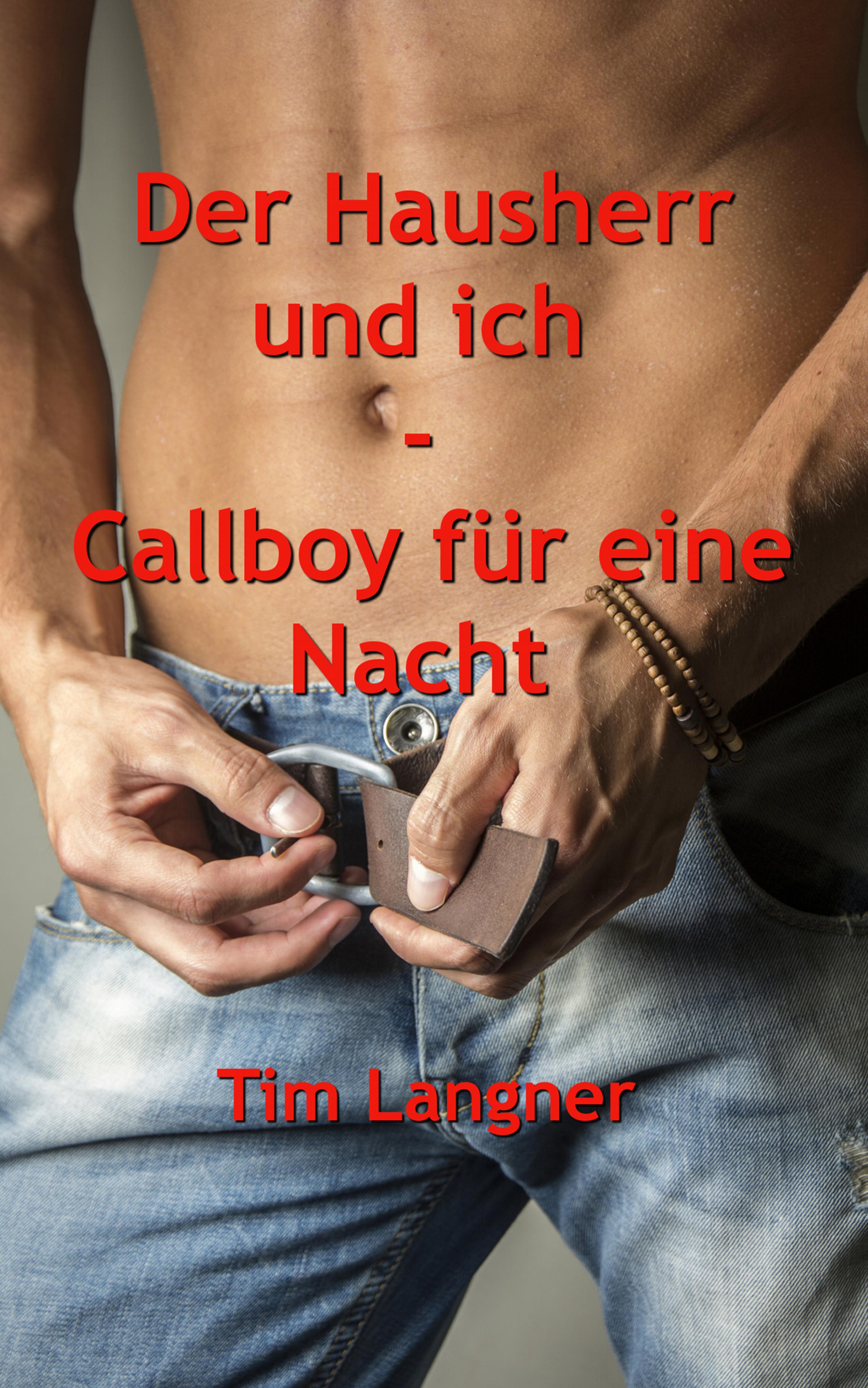 Обложка книги «Der Hausherr und ich - Callboy für eine Nacht»