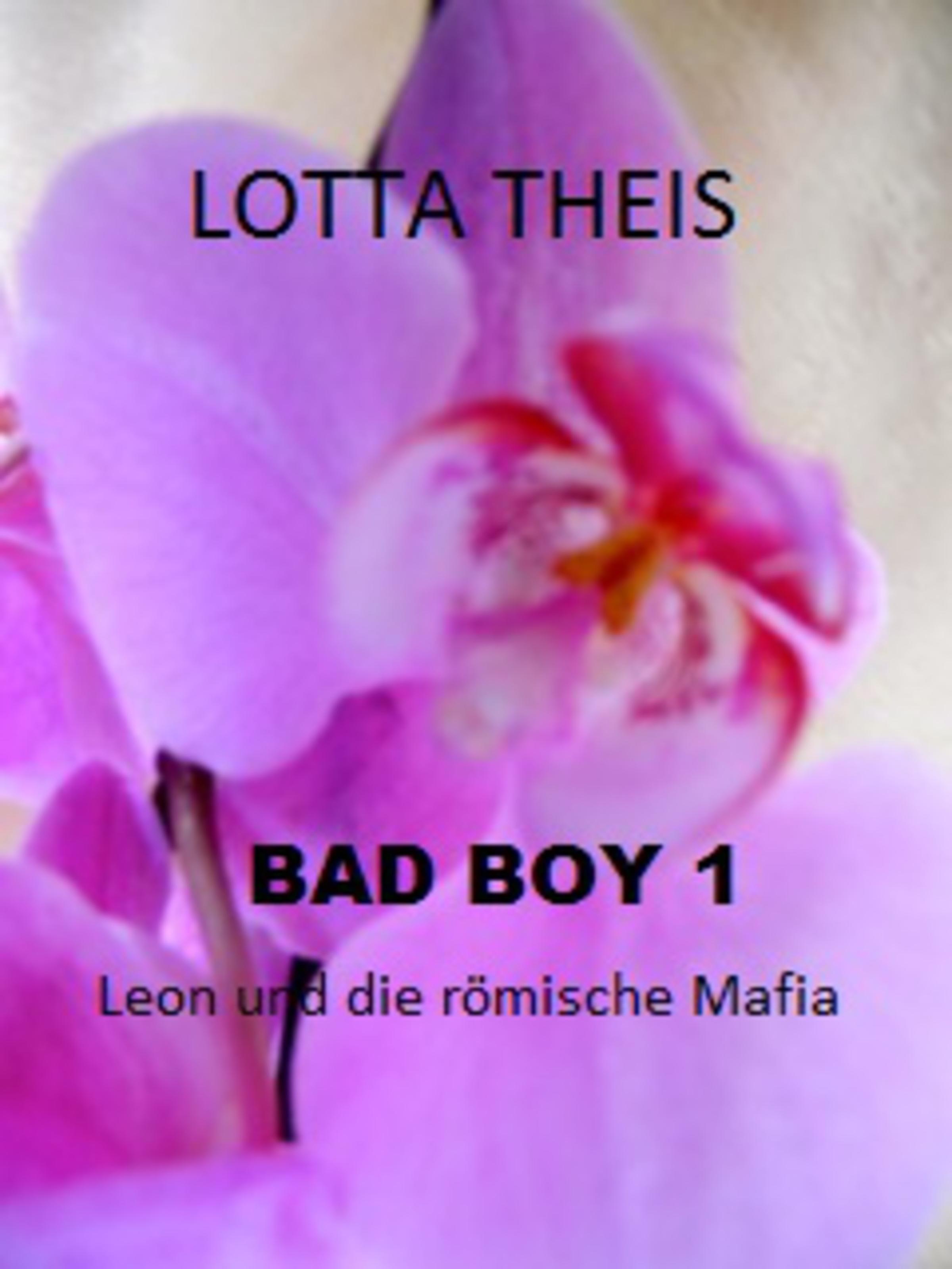 Обложка книги «Bad Boy 1»