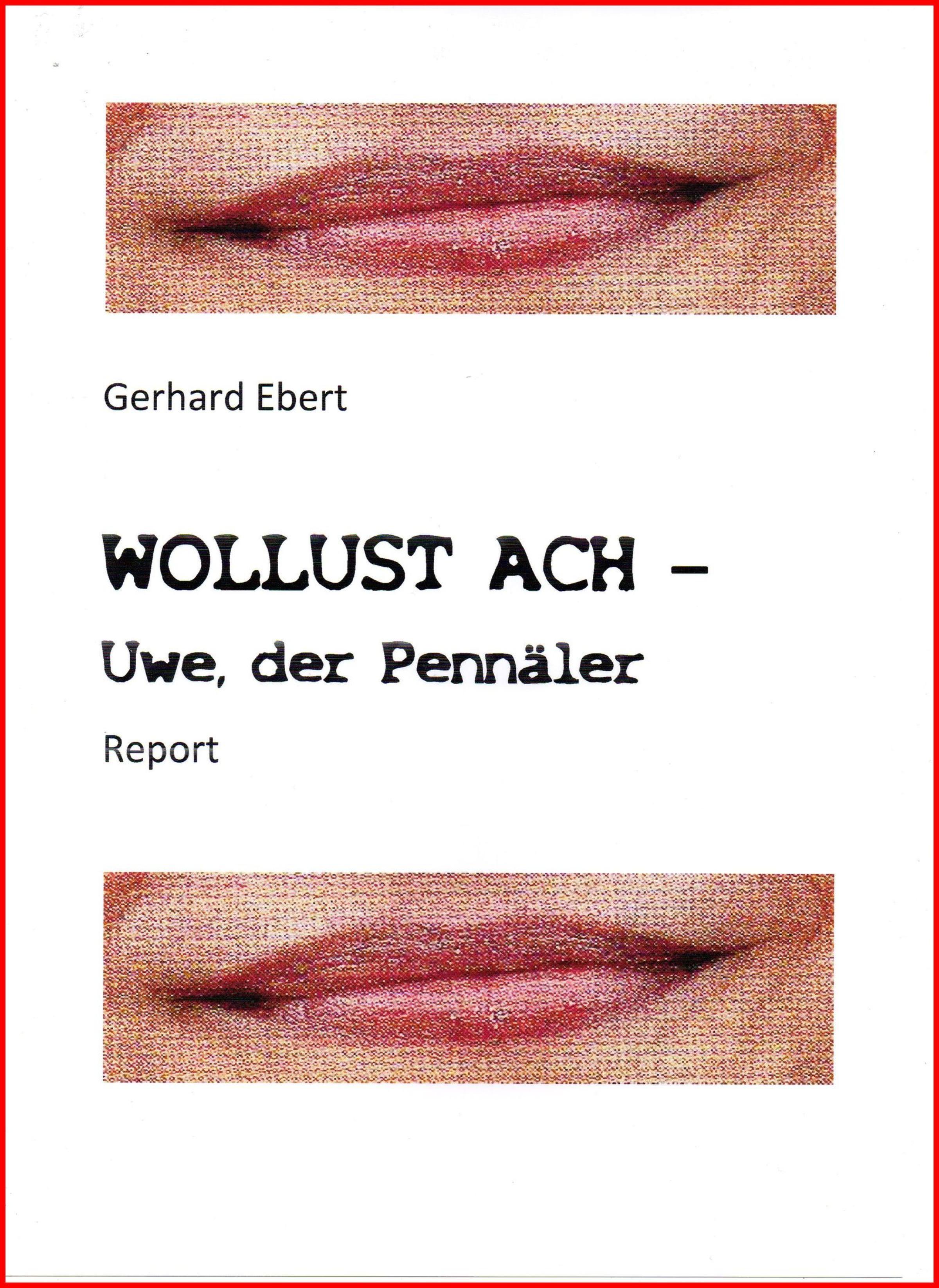 Обложка книги «WOLLUST ACH - Uwe, der Pennäler»