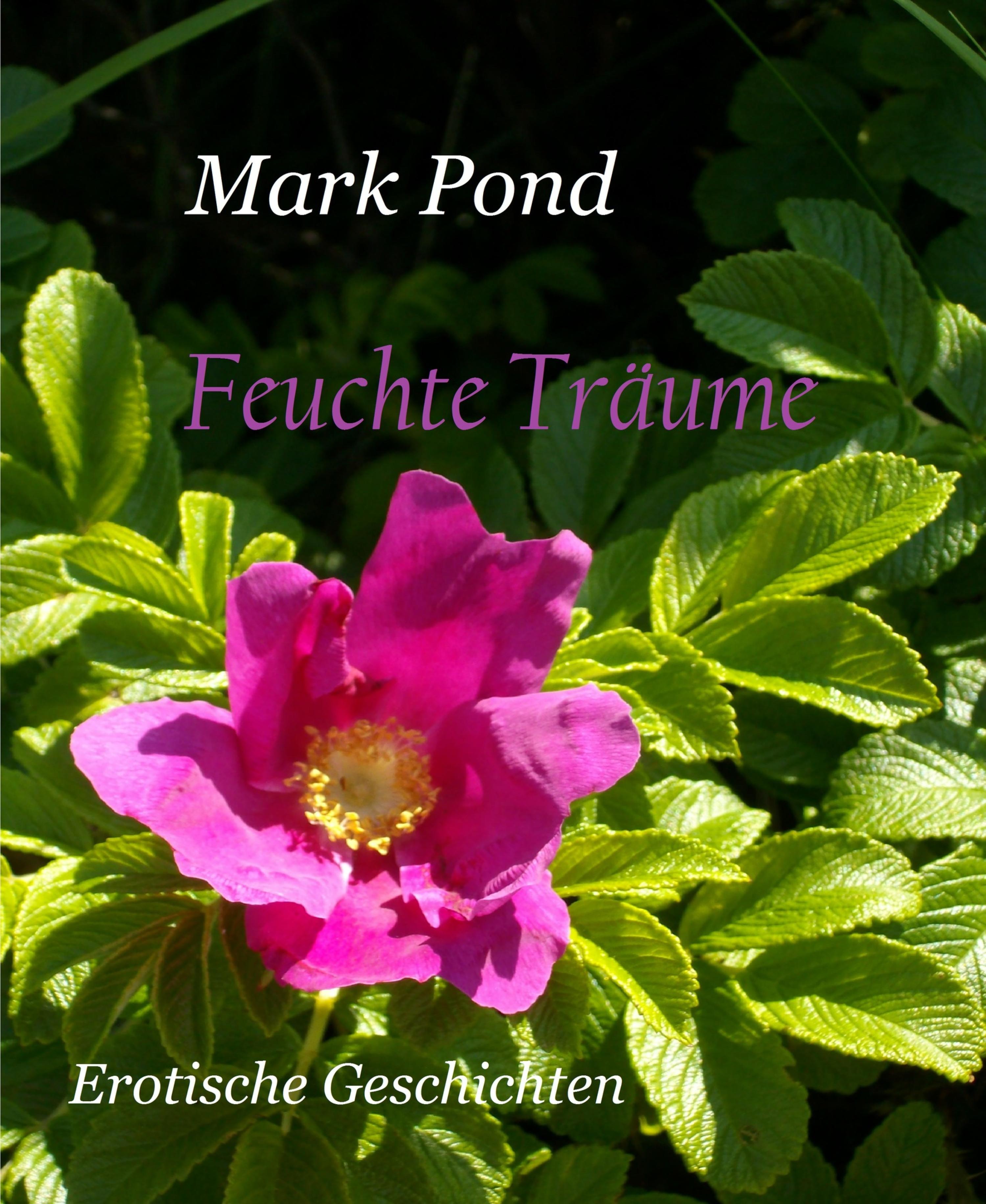 Обложка книги «Feuchte Träume»