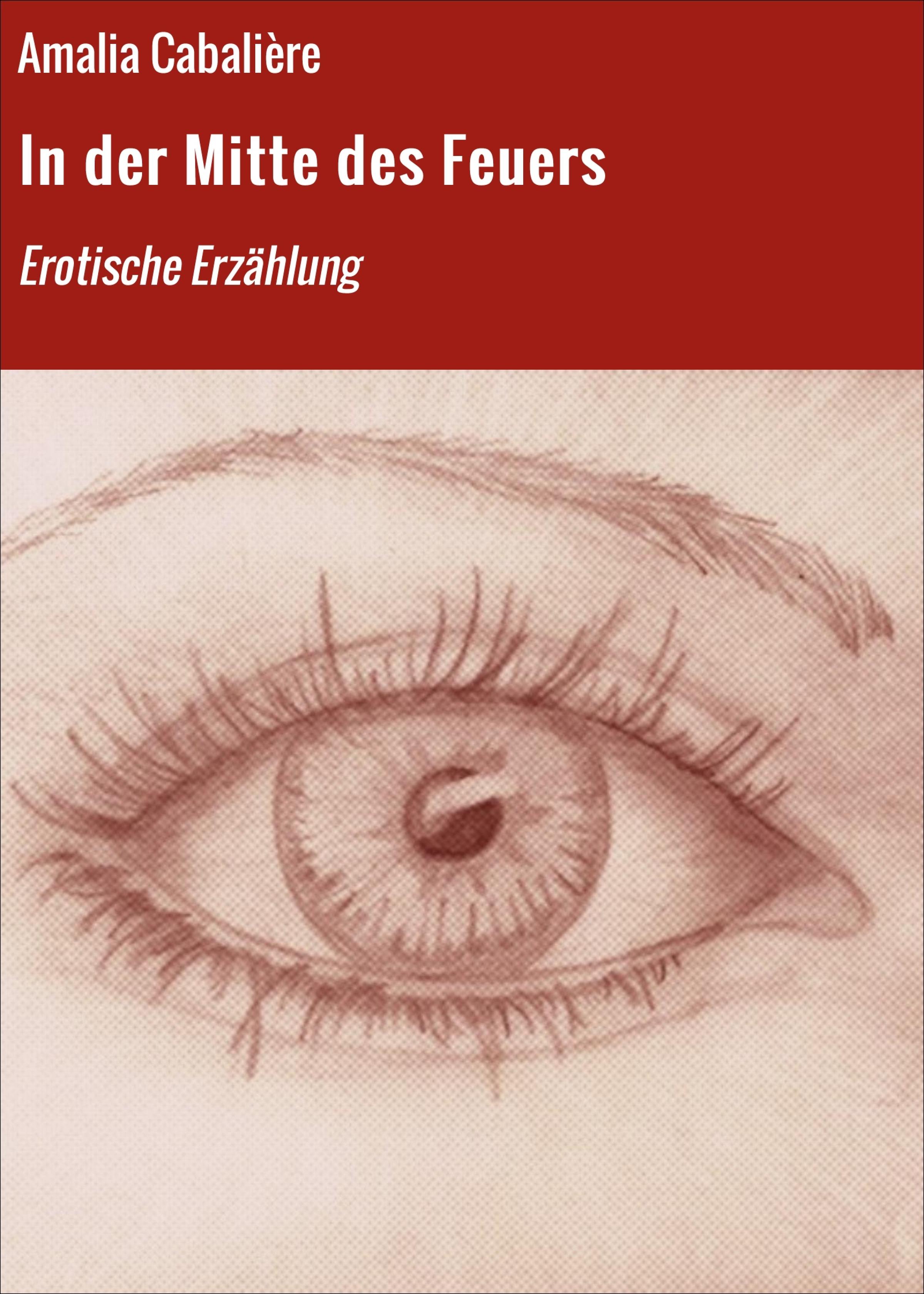 Обложка книги «In der Mitte des Feuers»