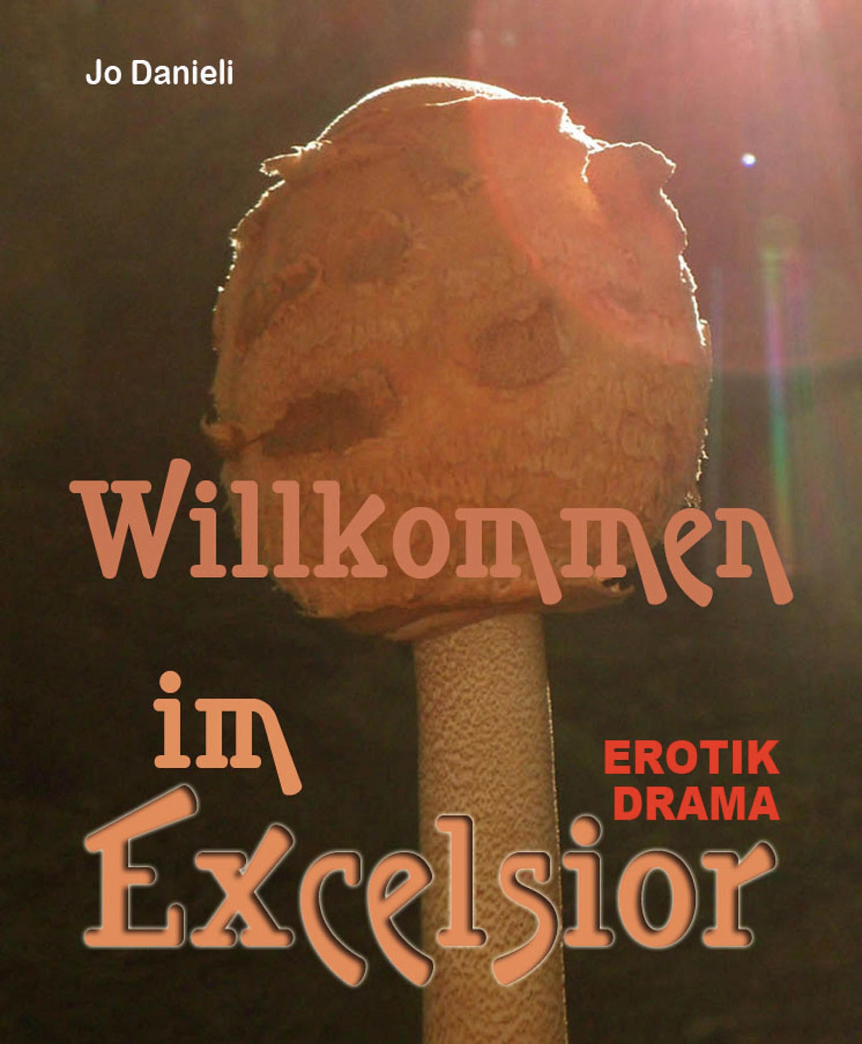 Обложка книги «Willkommen im Exzelsior»