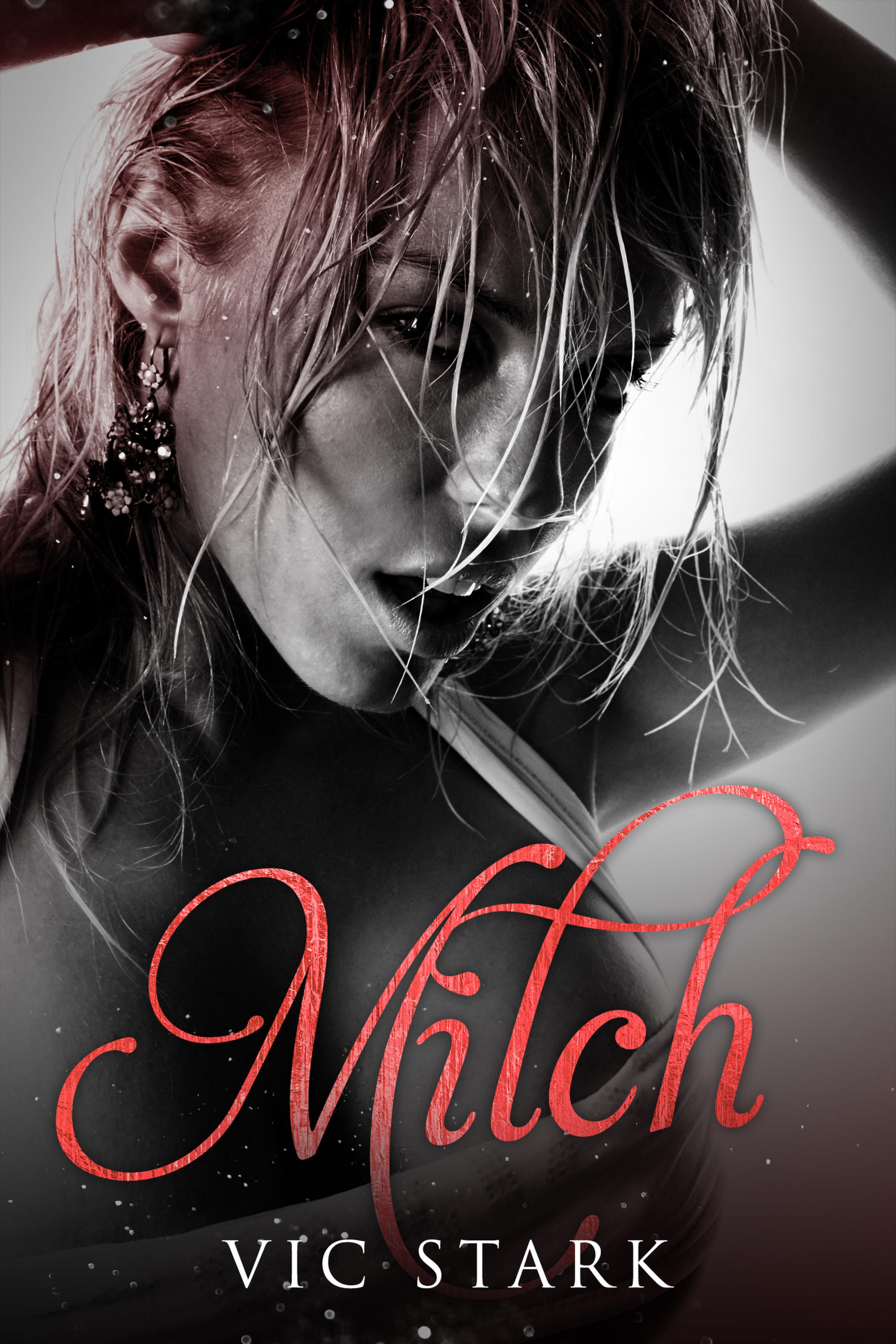 Обложка книги «Milch»