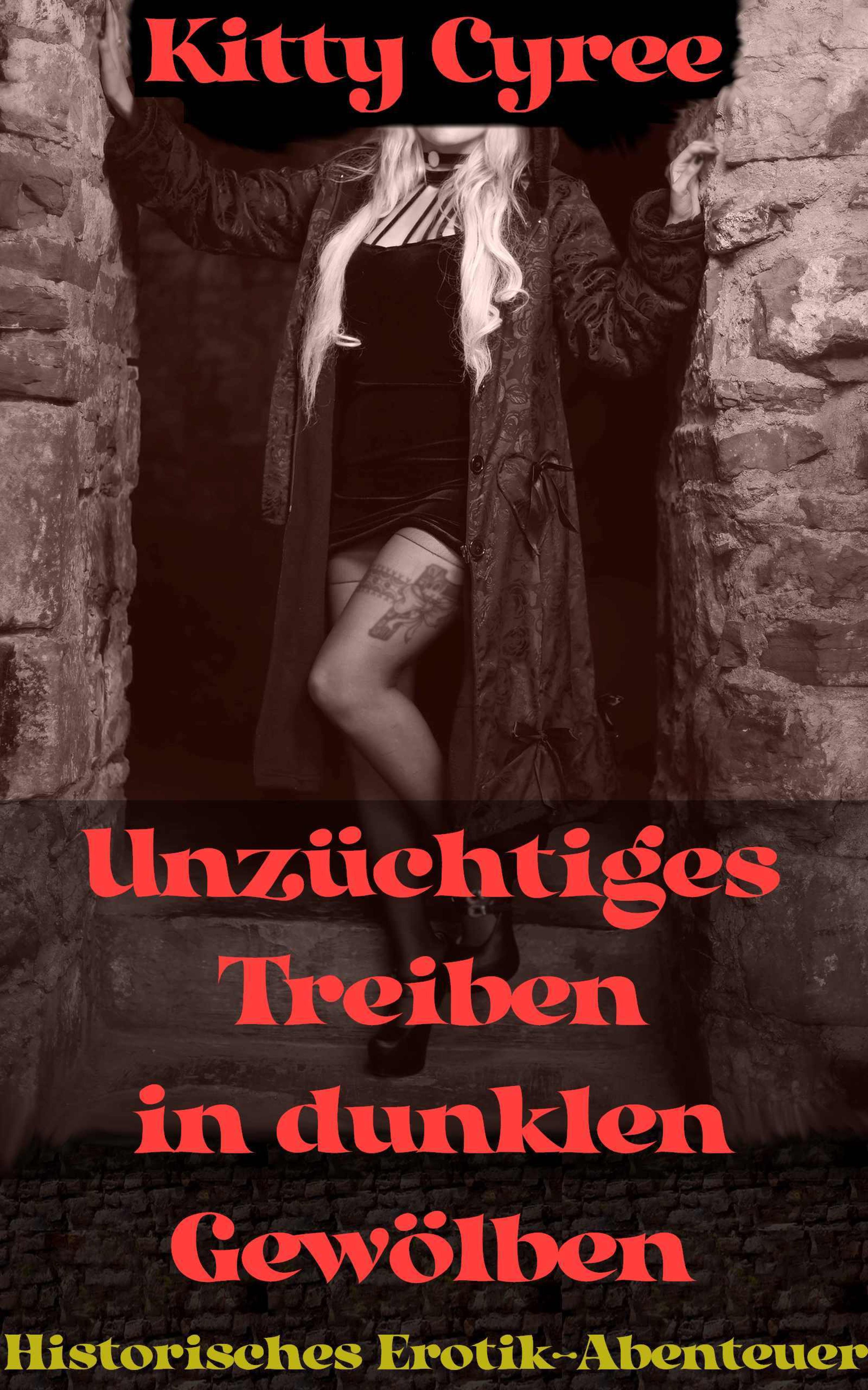 Обложка книги «Unzüchtiges Treiben in dunklen Gewölben»