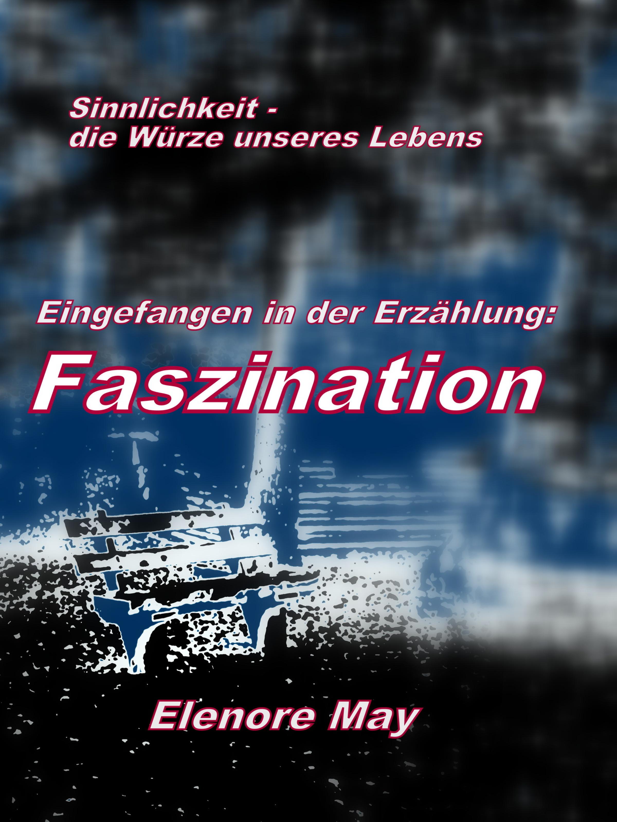 Обложка книги «Faszination»
