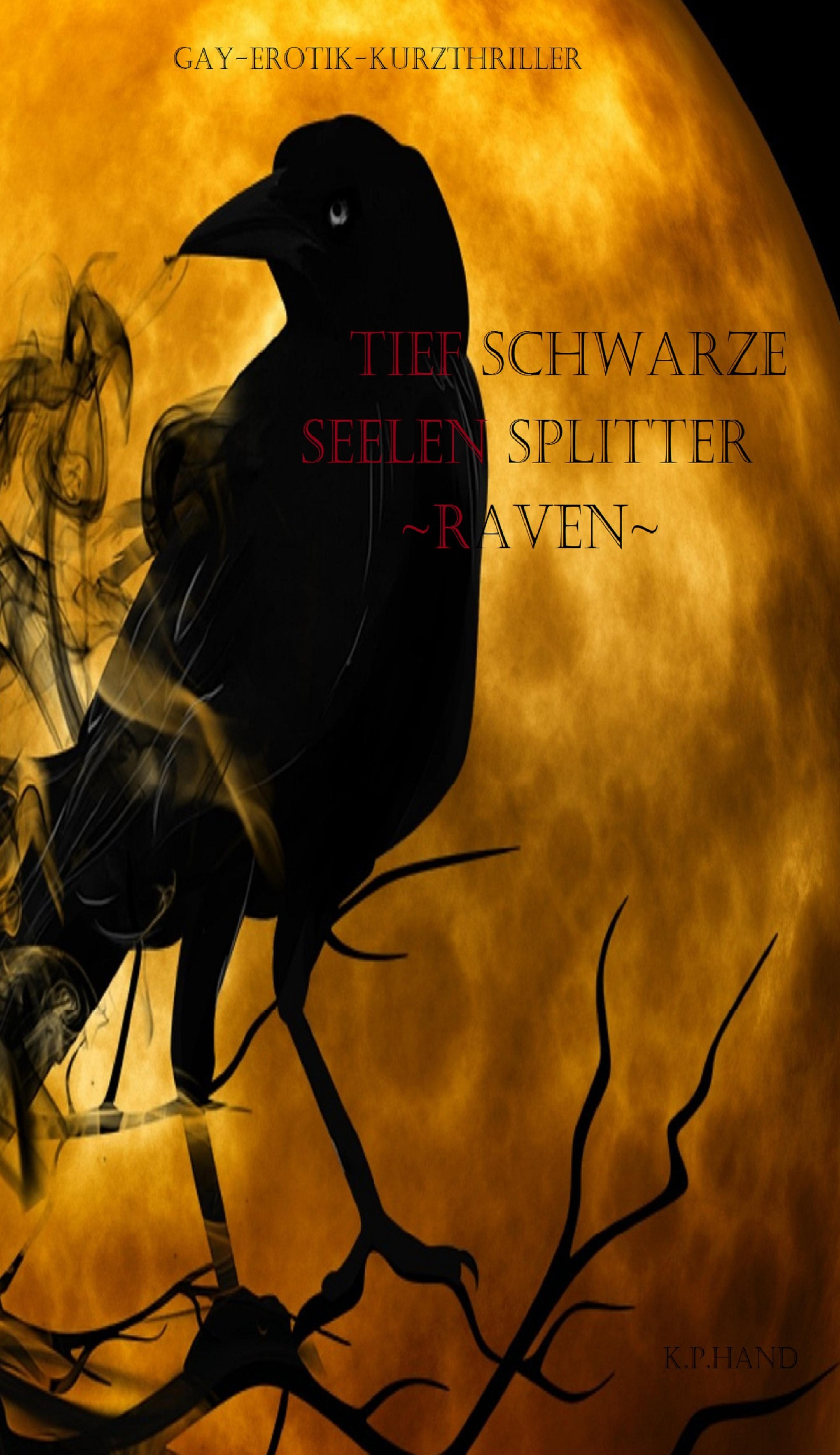 Обложка книги «Tiefschwarze Seelensplitter»
