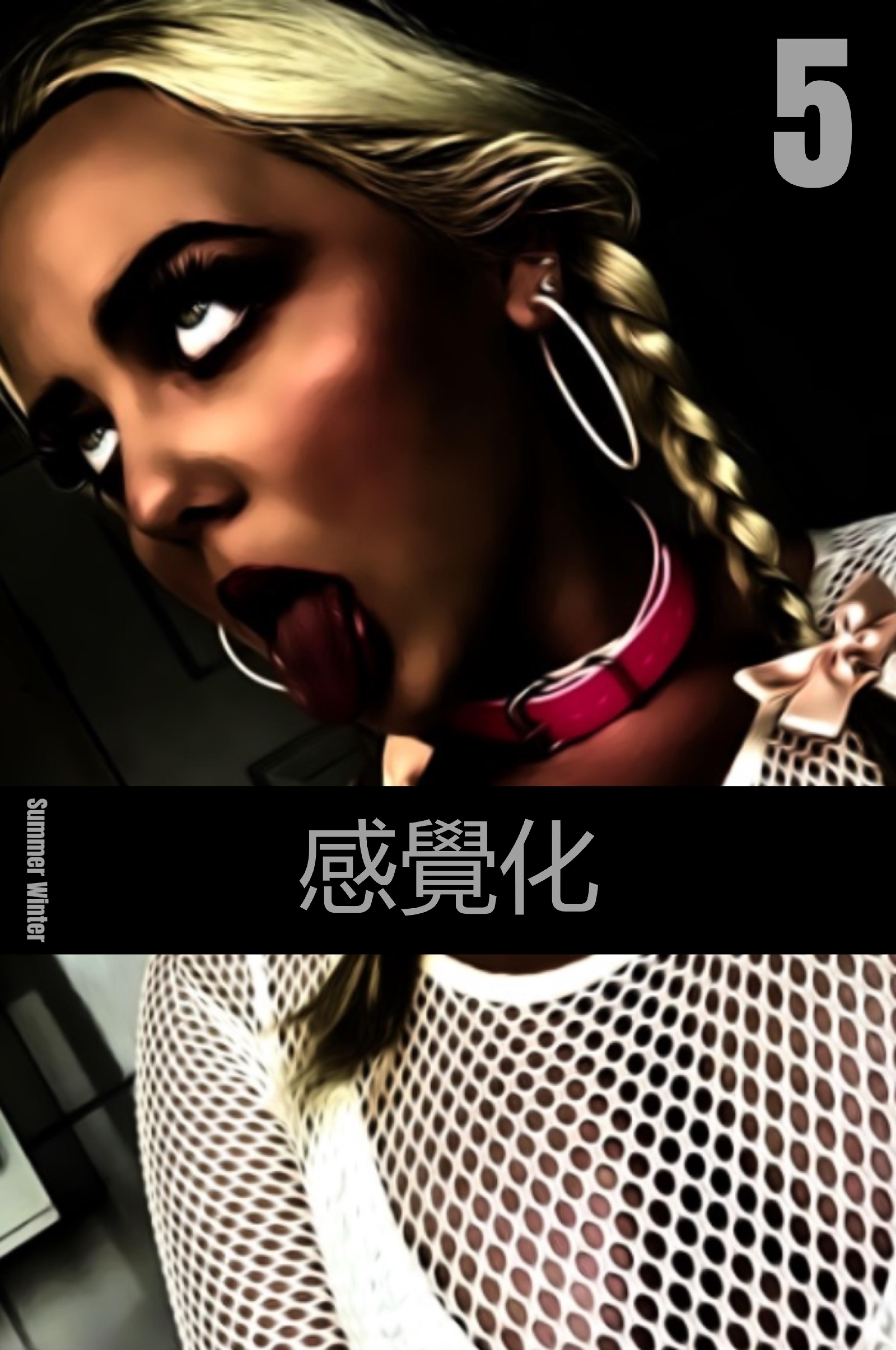 Обложка книги «感覺化5»