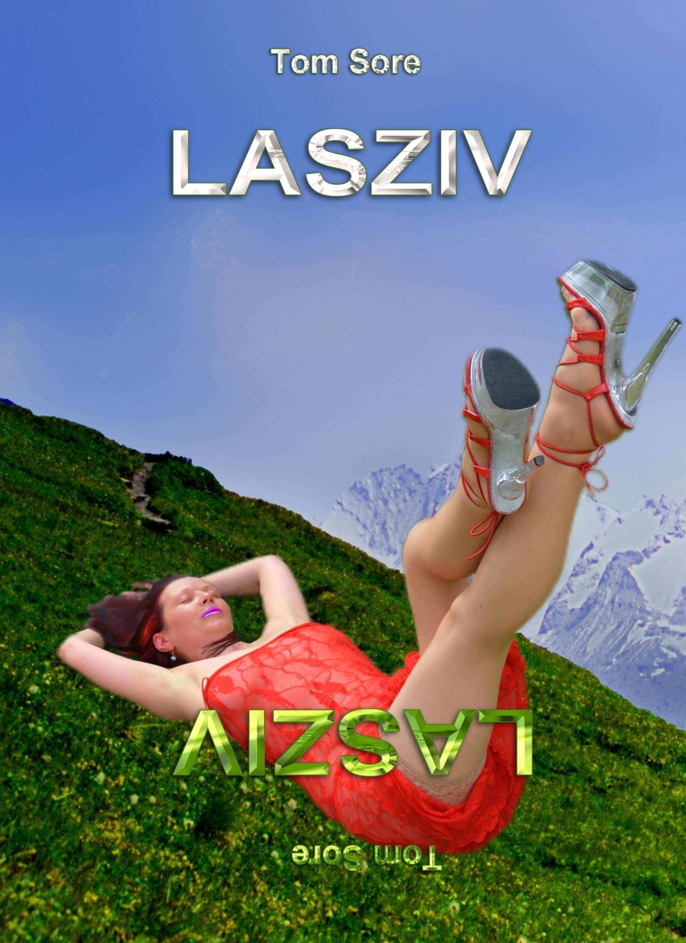 Обложка книги «Lasziv»