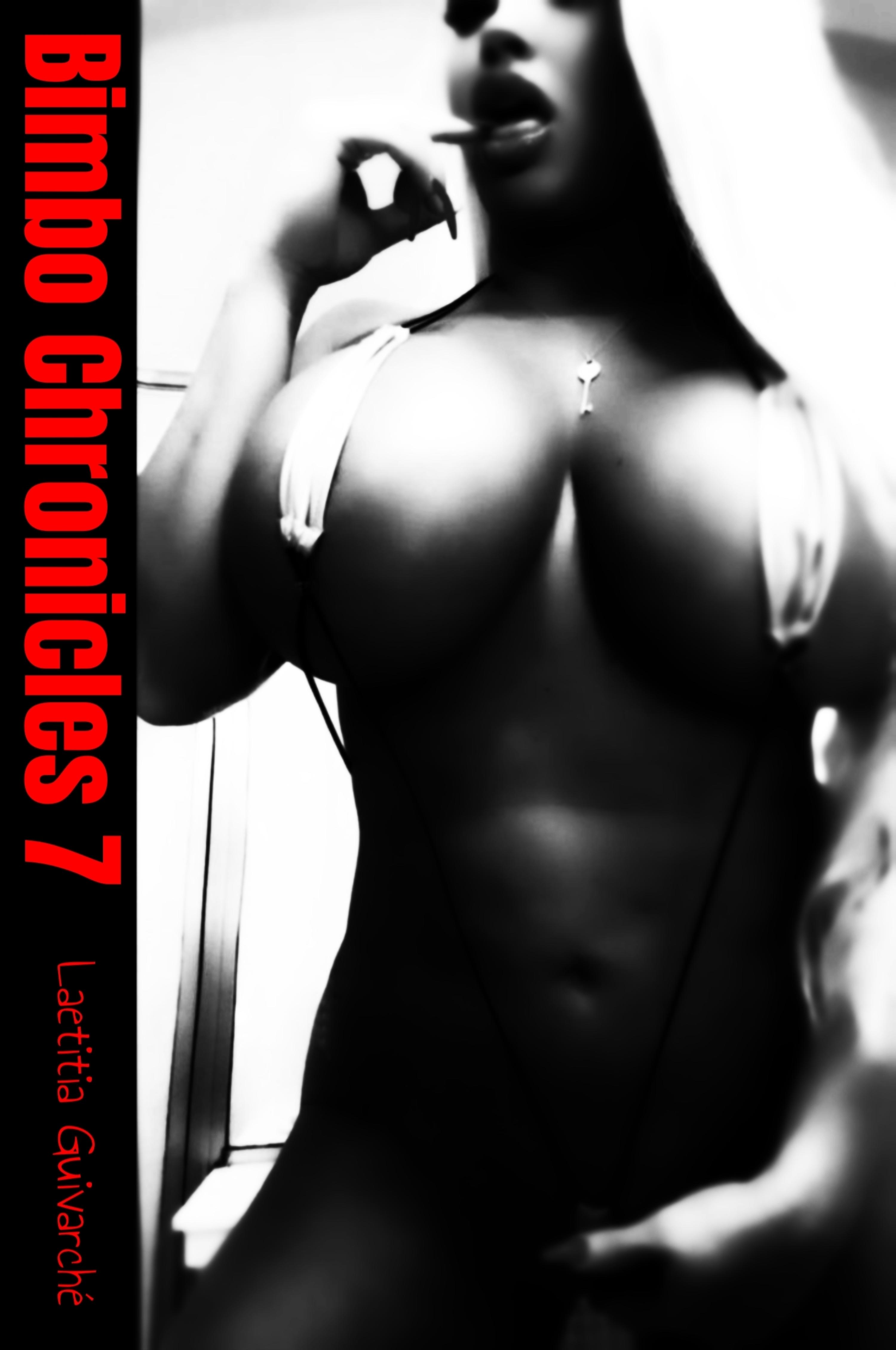 Обложка книги «Bimbo Chronicles 7»