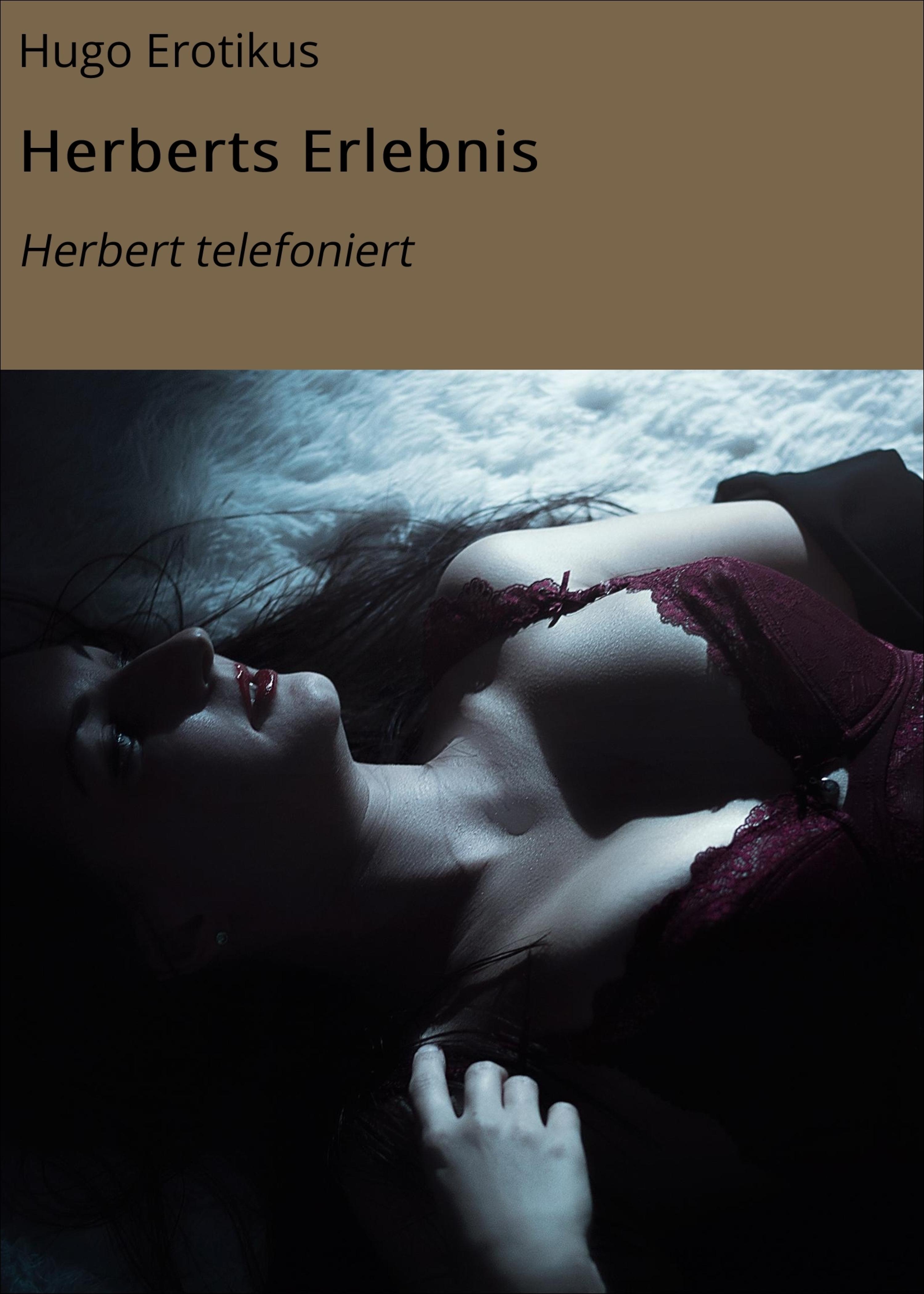Обложка книги «Herberts Erlebnis»