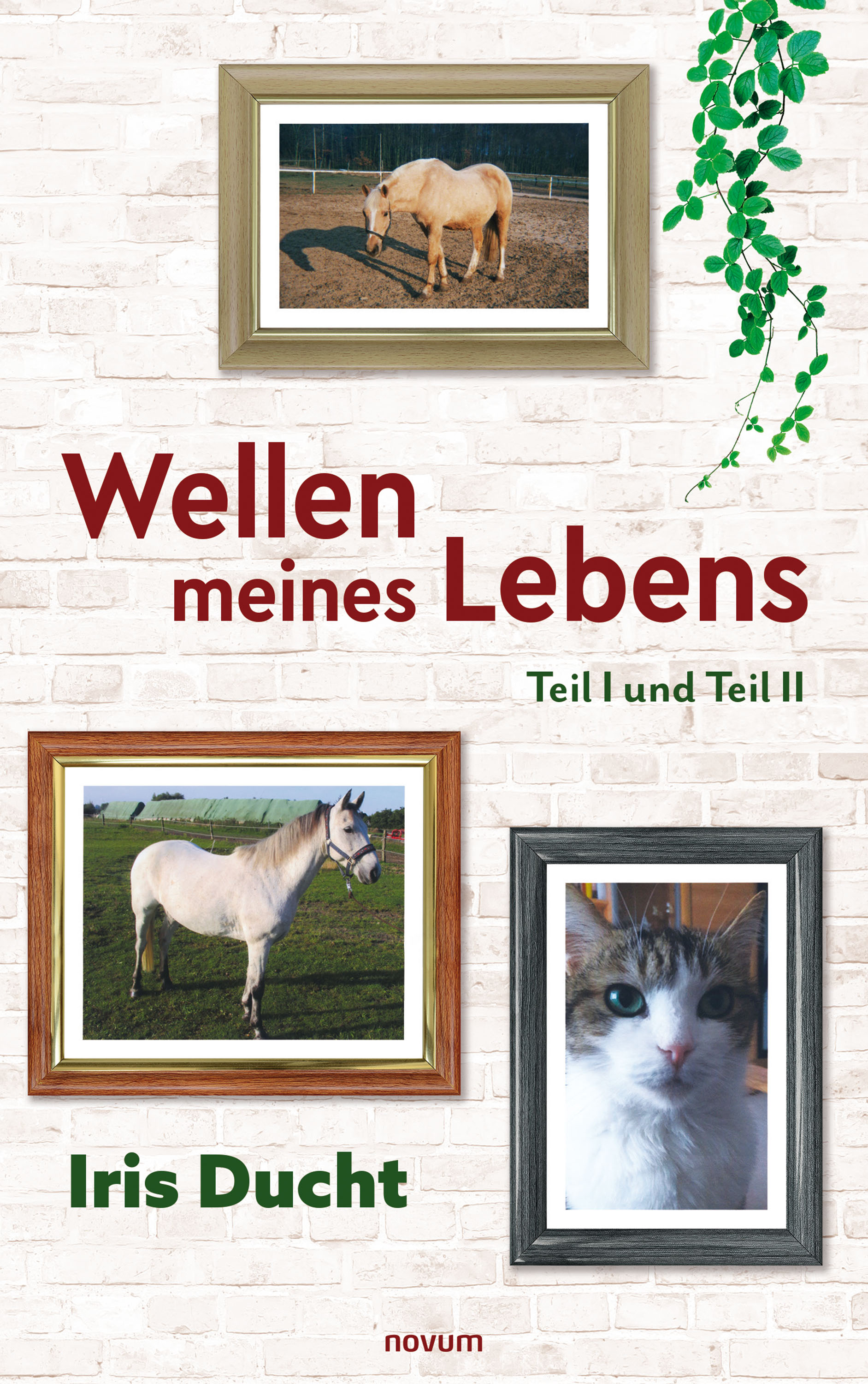 Обложка книги «Wellen meines Lebens»