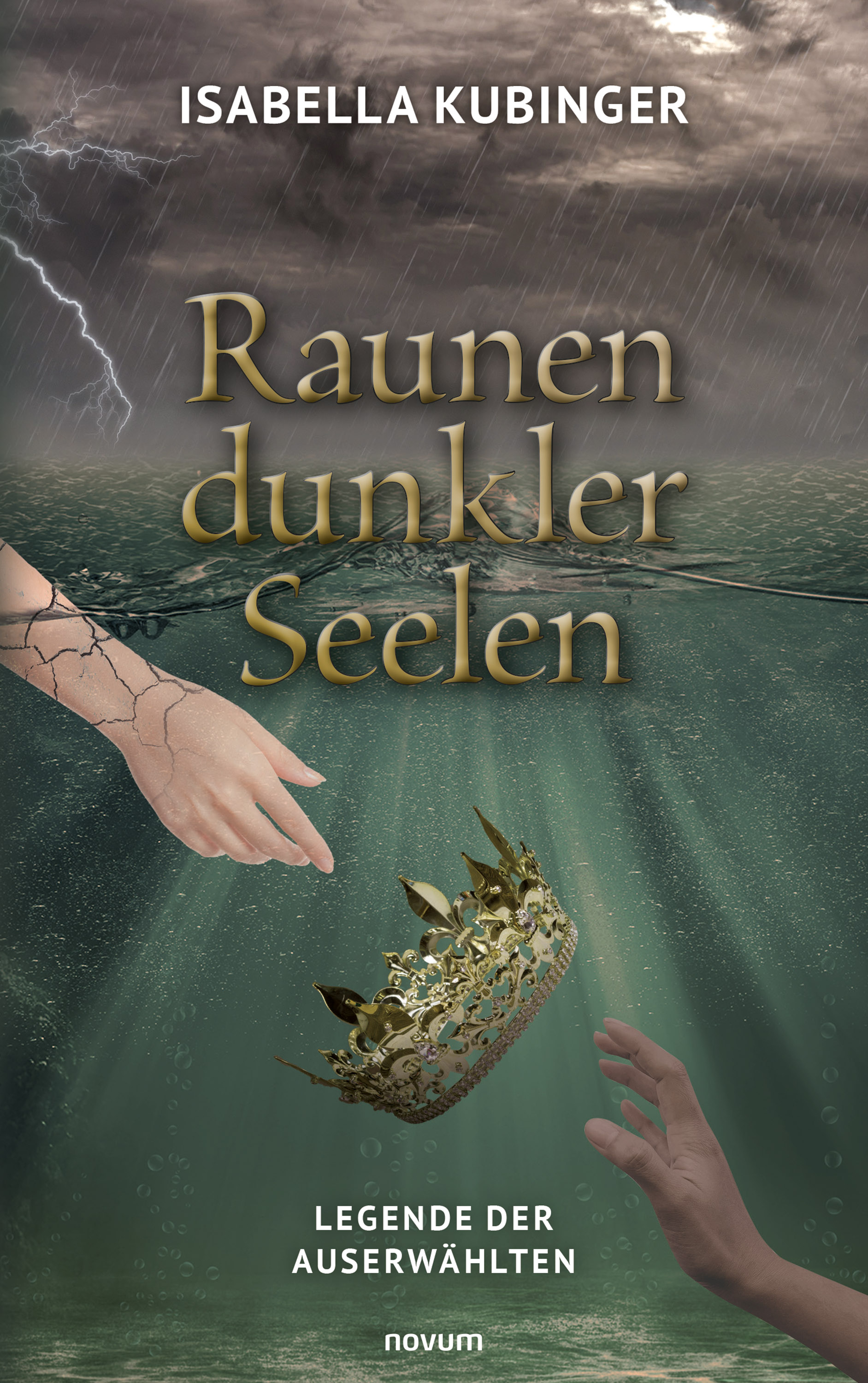 Обложка книги «Raunen dunkler Seelen»